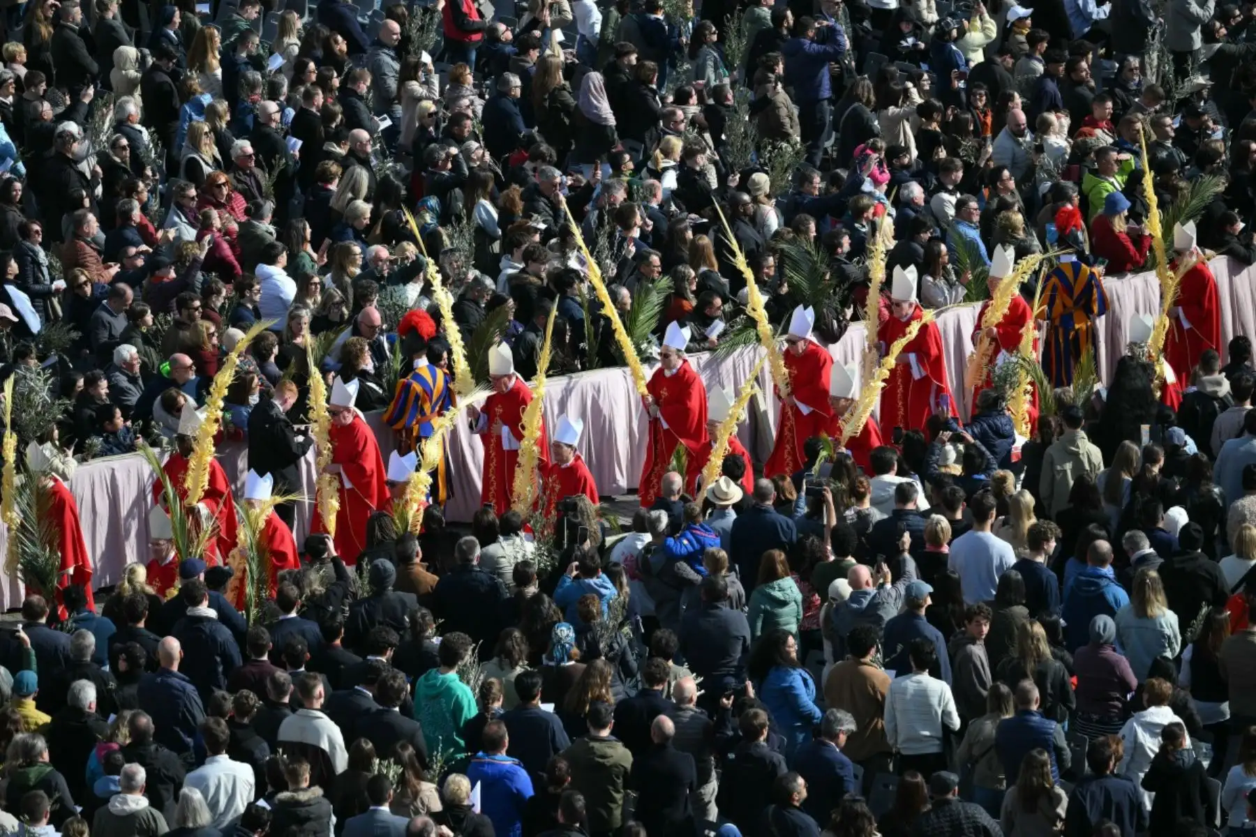 Cardenales participan en la procesión durante la misa del Domingo de Ramos presidida por el Papa León XIV en la plaza de San Pedro, en el Vaticano. Foto: AFP