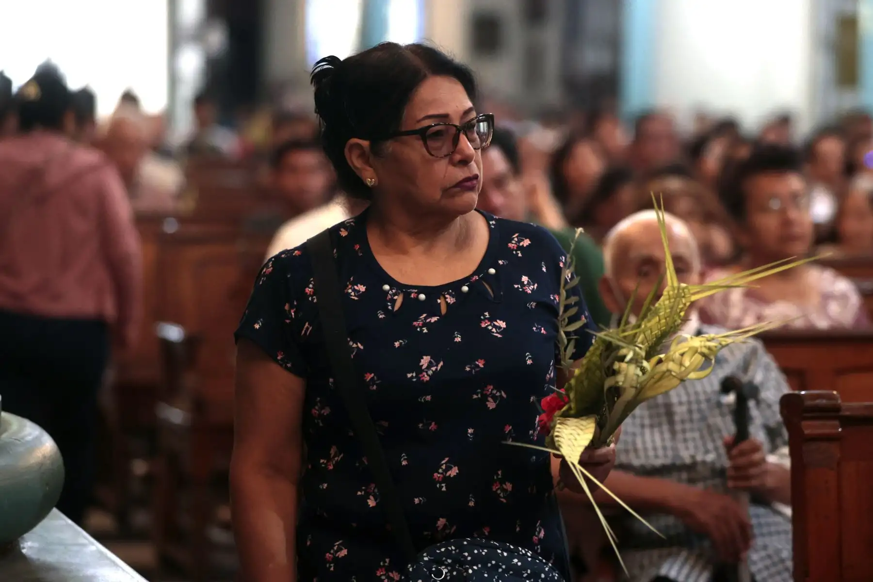 Comienza festividad Domingo de Ramos, en centro histórico de Lima celebraciones durante la semana santa. 
Foto: ANDINA/ Vidal Tarqui