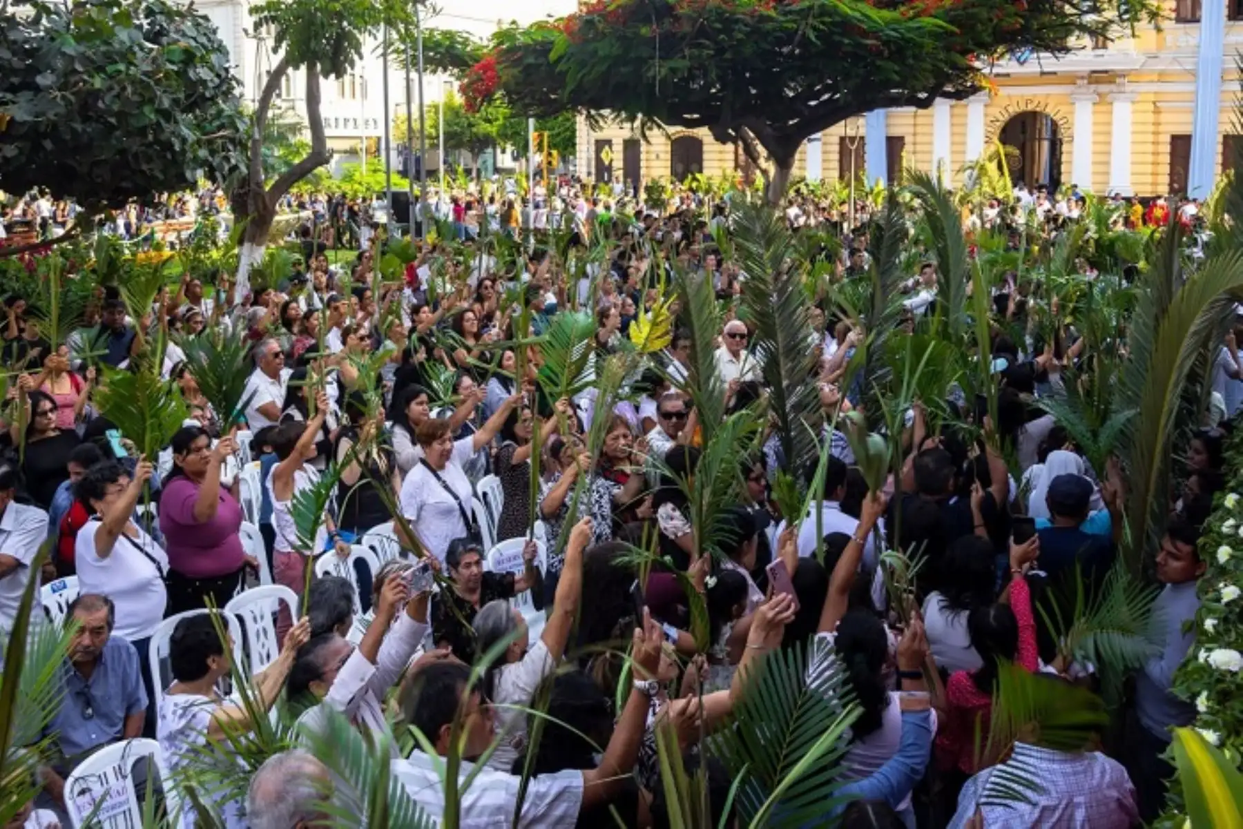 Chiclayo inicia Semana Santa con multitudinaria celebración del Domingo de Ramos