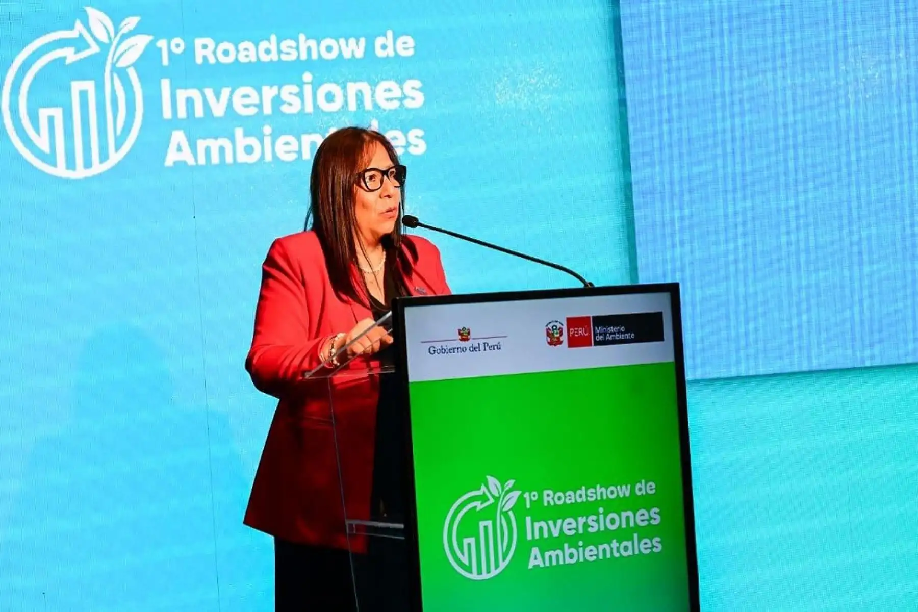 Minam: “Inversión debe ir de la mano con responsabilidad ambiental”