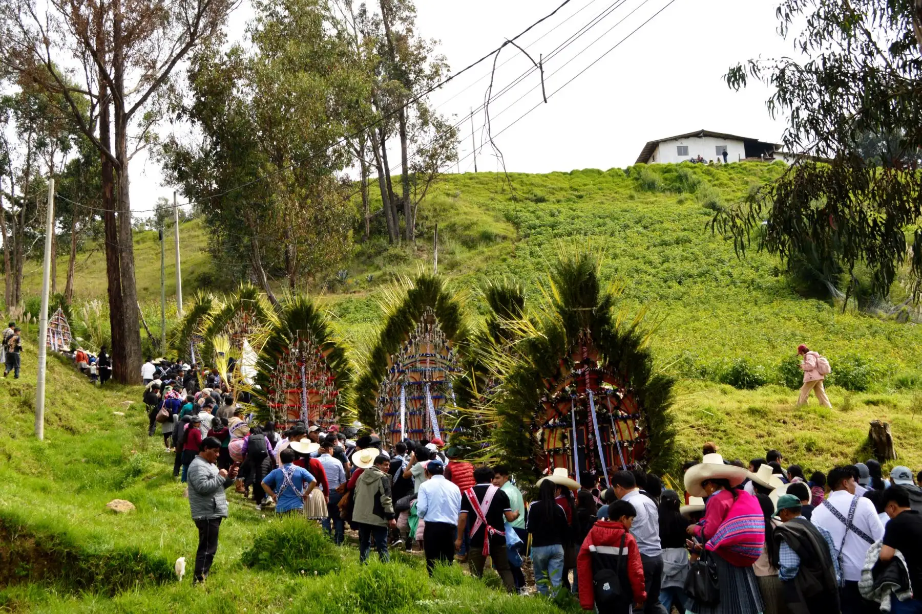 Con rezos, cánticos y alabanzas, los fieles realizaron el recorrido, que incluyó tramos empinados, hasta llegar a Porcón Bajo. Foto: ANDINA/Difusión