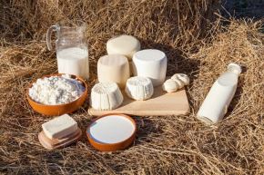 La cadena lechera en Piura registra 357,875 vacas en ordeño, consolidándose como una de las principales fuentes de ingreso en el campo. Foto: Gore Piura