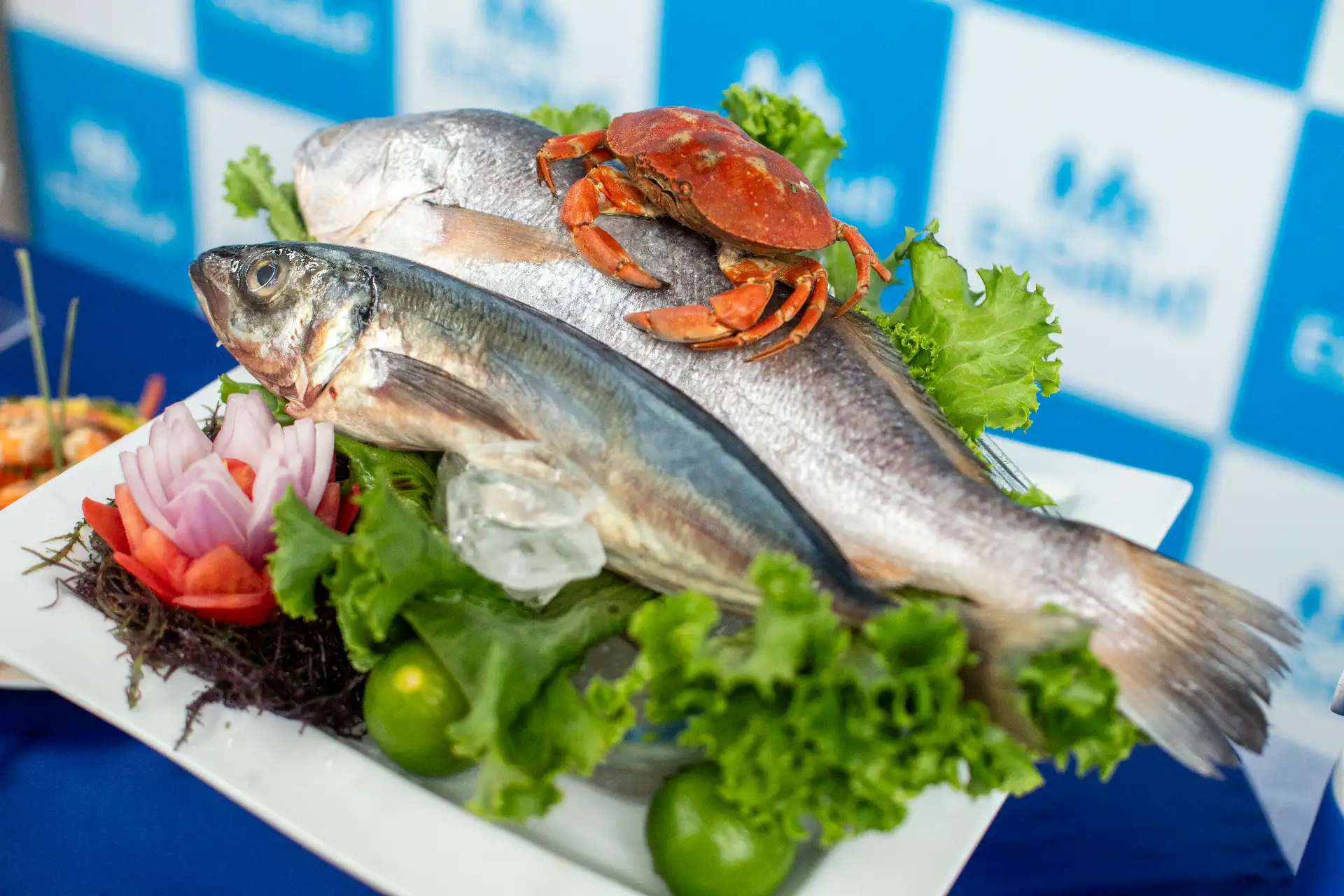 Ejemplos de preparaciones como ceviche, chupe de pescado y platos a base de mariscos fueron expuestos como alternativas saludables para el consumo en el hogar. Foto: ANDINA/Difusión.
