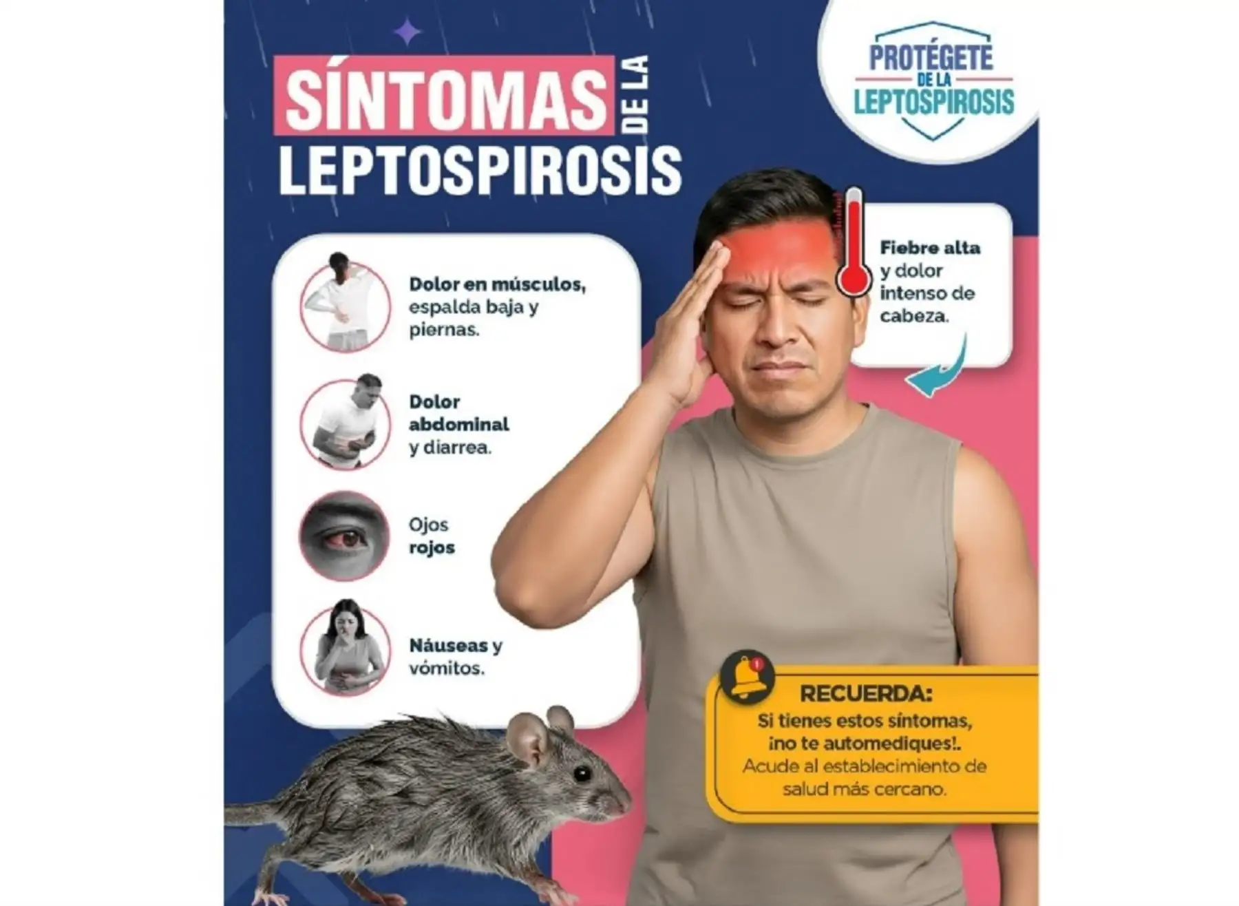 San Martín: Hospital II de Tarapoto alerta a la población sobe el riesgo de leptospirosis