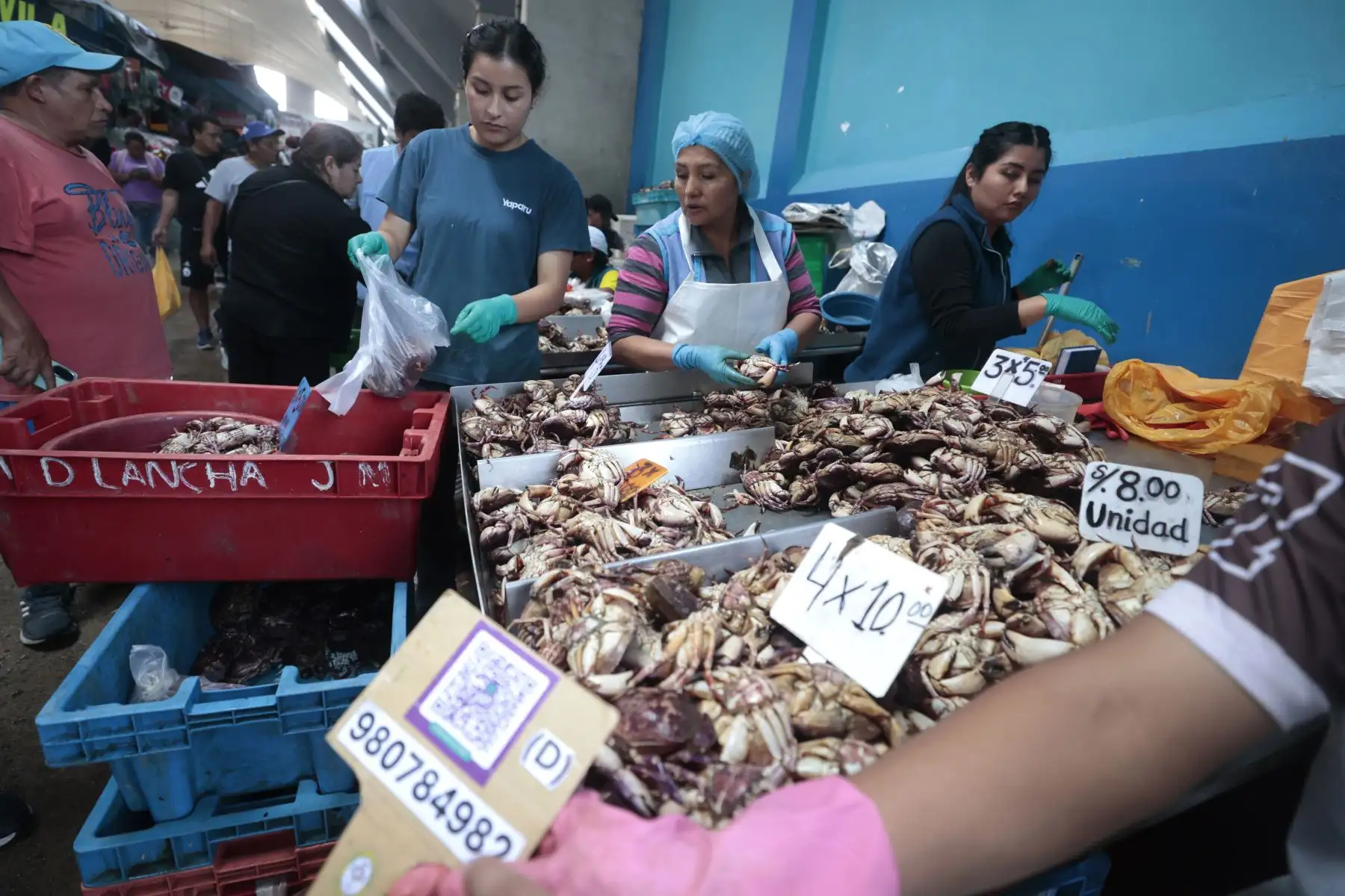 Como parte de las tradiciones por Semana Santa, numerosos limeños acudieron al Terminal Pesquero de Villa María del Triunfo para abastecerse de pescado y mariscos, en cumplimiento de la costumbre católica de evitar el consumo de carnes rojas durante estas fechas. Esta práctica, asociada al Jueves y Viernes Santo, promueve el consumo de productos hidrobiológicos como alternativa alimentaria. Foto: ANDINA/Vidal Tarqui.