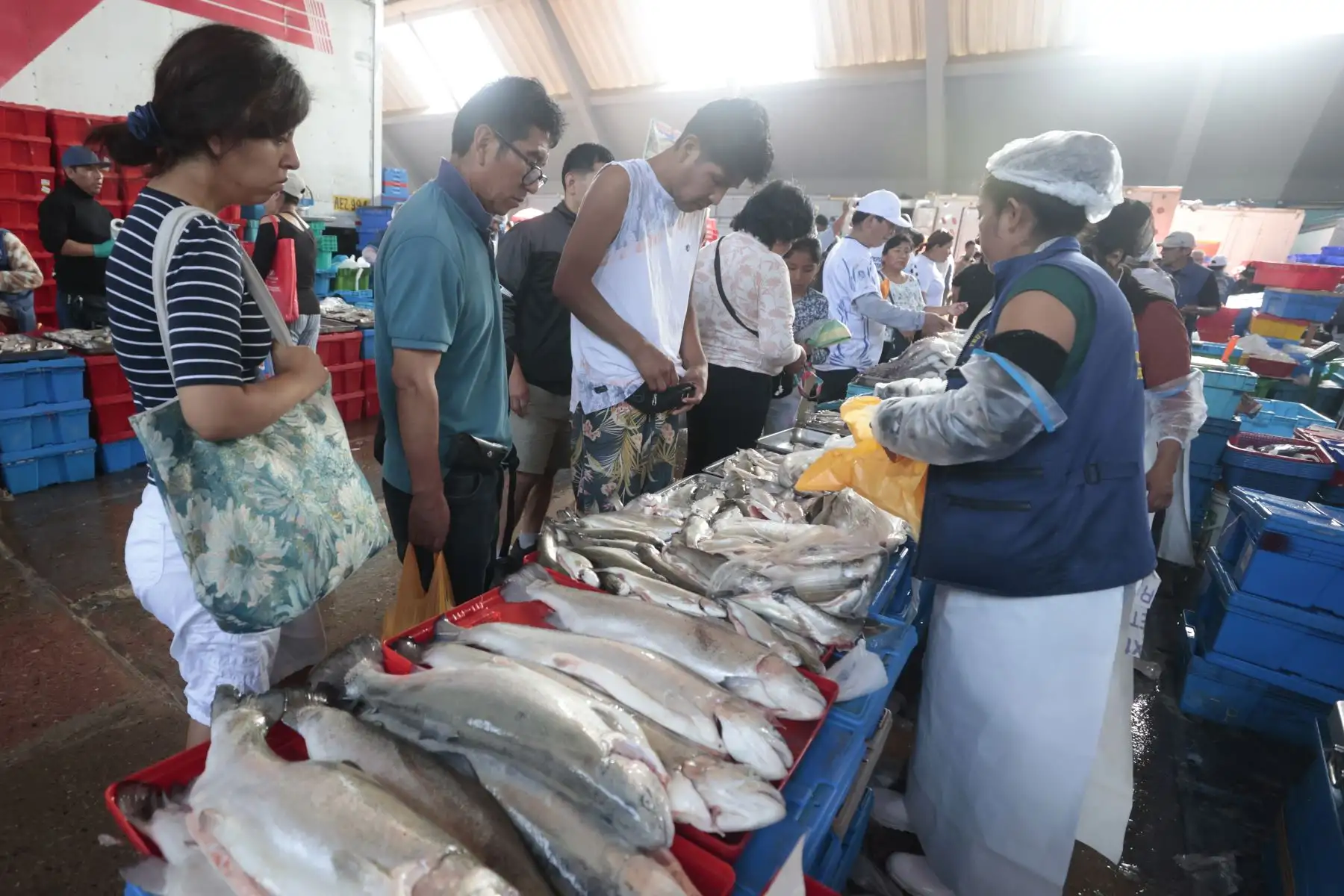 Como parte de las tradiciones por Semana Santa, numerosos limeños acudieron al Terminal Pesquero de Villa María del Triunfo para abastecerse de pescado y mariscos, en cumplimiento de la costumbre católica de evitar el consumo de carnes rojas durante estas fechas. Esta práctica, asociada al Jueves y Viernes Santo, promueve el consumo de productos hidrobiológicos como alternativa alimentaria. Foto: ANDINA/Vidal Tarqui.
