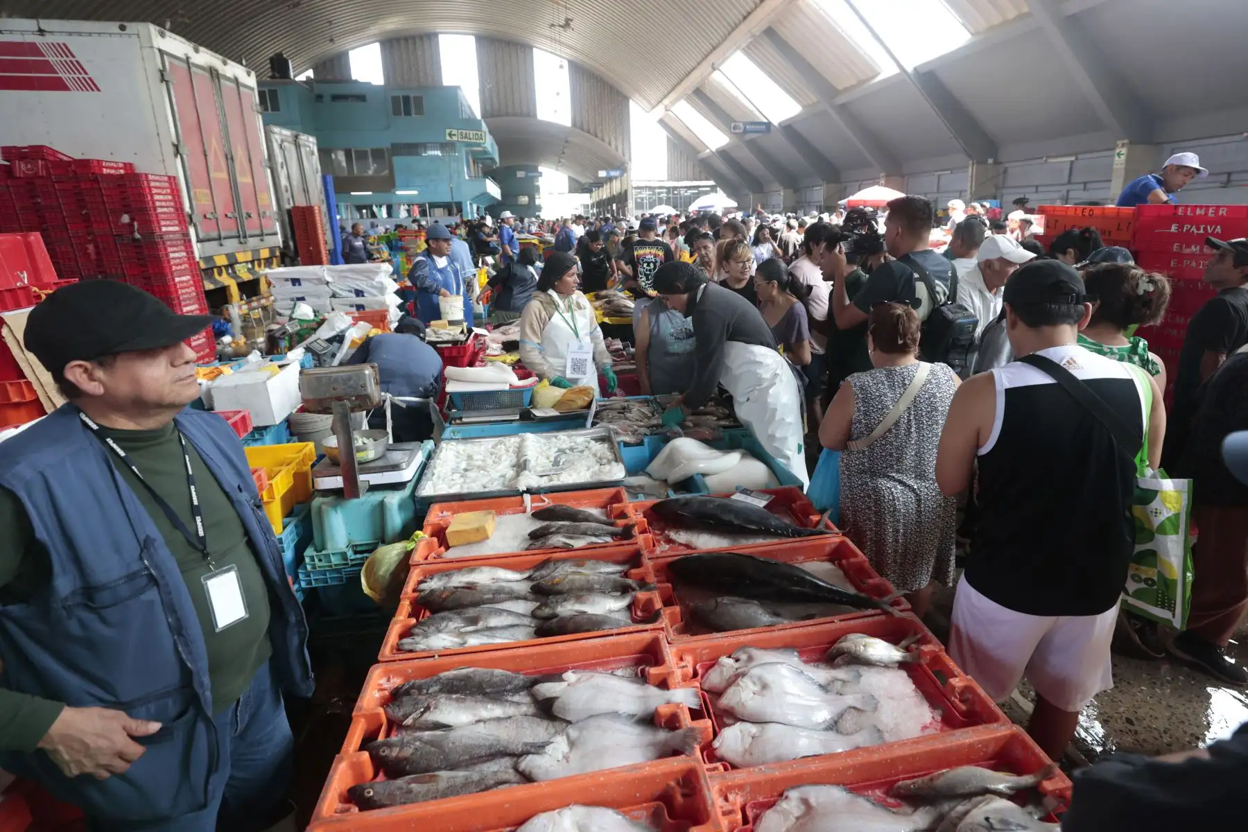 Como parte de las tradiciones por Semana Santa, numerosos limeños acudieron al Terminal Pesquero de Villa María del Triunfo para abastecerse de pescado y mariscos, en cumplimiento de la costumbre católica de evitar el consumo de carnes rojas durante estas fechas. Esta práctica, asociada al Jueves y Viernes Santo, promueve el consumo de productos hidrobiológicos como alternativa alimentaria. Foto: ANDINA/Vidal Tarqui.