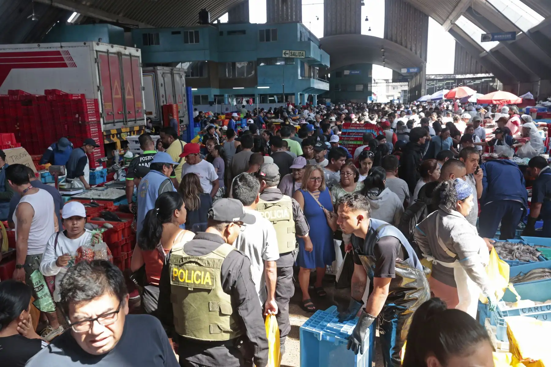 Como parte de las tradiciones por Semana Santa, numerosos limeños acudieron al Terminal Pesquero de Villa María del Triunfo para abastecerse de pescado y mariscos, en cumplimiento de la costumbre católica de evitar el consumo de carnes rojas durante estas fechas. Esta práctica, asociada al Jueves y Viernes Santo, promueve el consumo de productos hidrobiológicos como alternativa alimentaria. Foto: ANDINA/Vidal Tarqui.