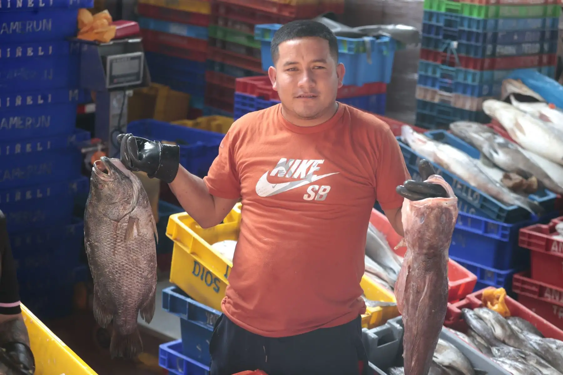 Como parte de las tradiciones por Semana Santa, numerosos limeños acudieron al Terminal Pesquero de Villa María del Triunfo para abastecerse de pescado y mariscos, en cumplimiento de la costumbre católica de evitar el consumo de carnes rojas durante estas fechas. Esta práctica, asociada al Jueves y Viernes Santo, promueve el consumo de productos hidrobiológicos como alternativa alimentaria. Foto: ANDINA/Vidal Tarqui.