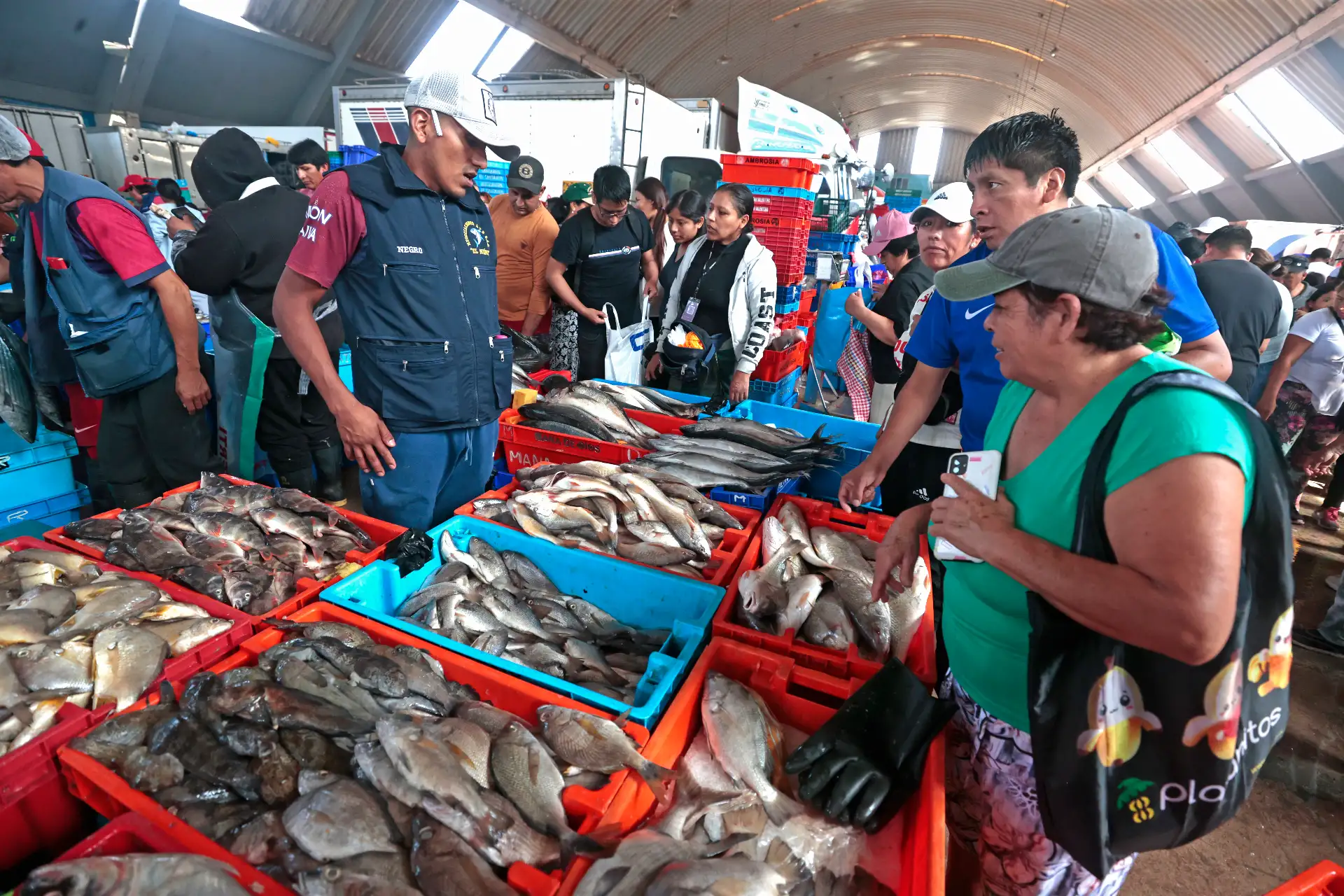 Como parte de las tradiciones por Semana Santa, numerosos limeños acudieron al Terminal Pesquero de Villa María del Triunfo para abastecerse de pescado y mariscos, en cumplimiento de la costumbre católica de evitar el consumo de carnes rojas durante estas fechas. Esta práctica, asociada al Jueves y Viernes Santo, promueve el consumo de productos hidrobiológicos como alternativa alimentaria. Foto: ANDINA/Vidal Tarqui.