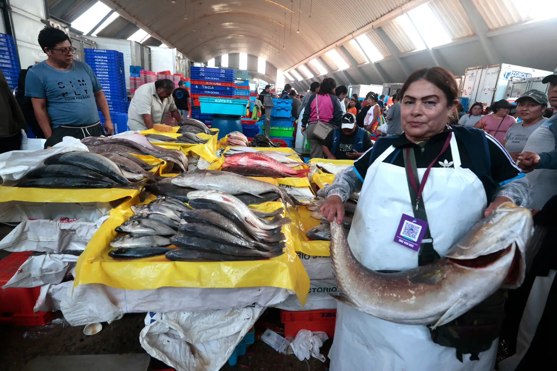 Como parte de las tradiciones por Semana Santa, numerosos limeños acudieron al Terminal Pesquero de Villa María del Triunfo para abastecerse de pescado y mariscos, en cumplimiento de la costumbre católica de evitar el consumo de carnes rojas durante estas fechas. Esta práctica, asociada al Jueves y Viernes Santo, promueve el consumo de productos hidrobiológicos como alternativa alimentaria. Foto: ANDINA/Vidal Tarqui.