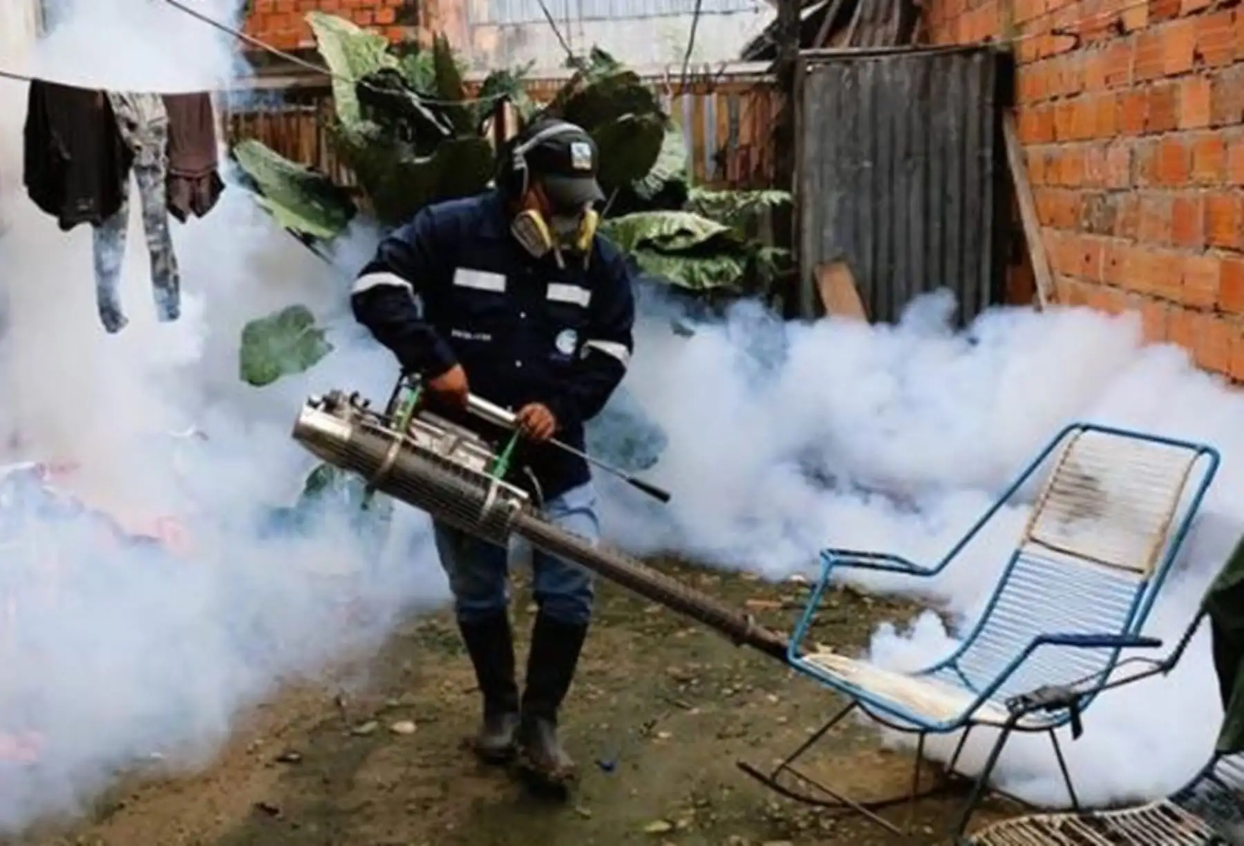 Ucayali: fumigarán más de 18,000 viviendas en distritos de Callería y Yarinacocha