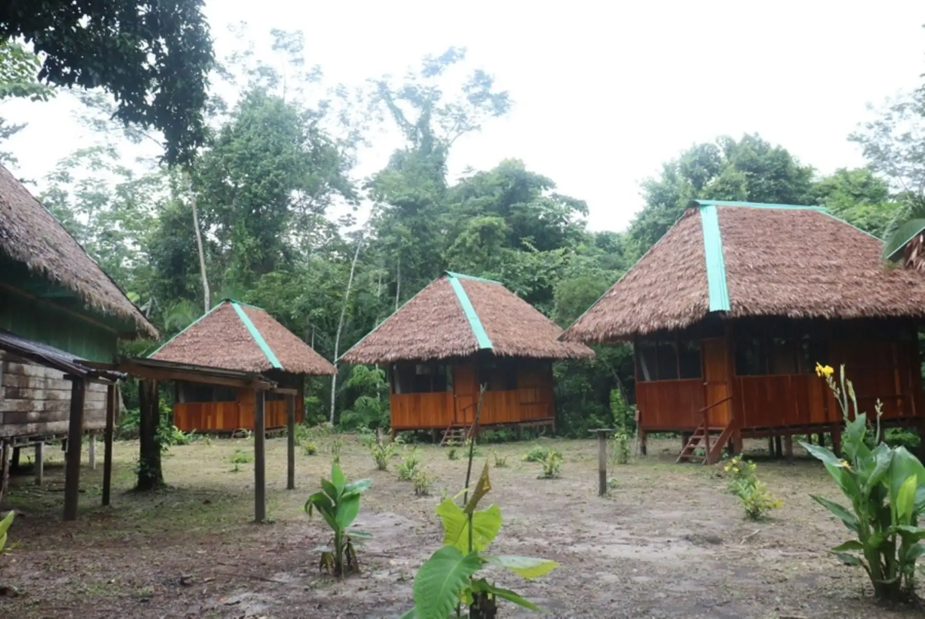 Semana Santa: descubre Boca Pariamanu y su ruta del cacao en Madre de Dios