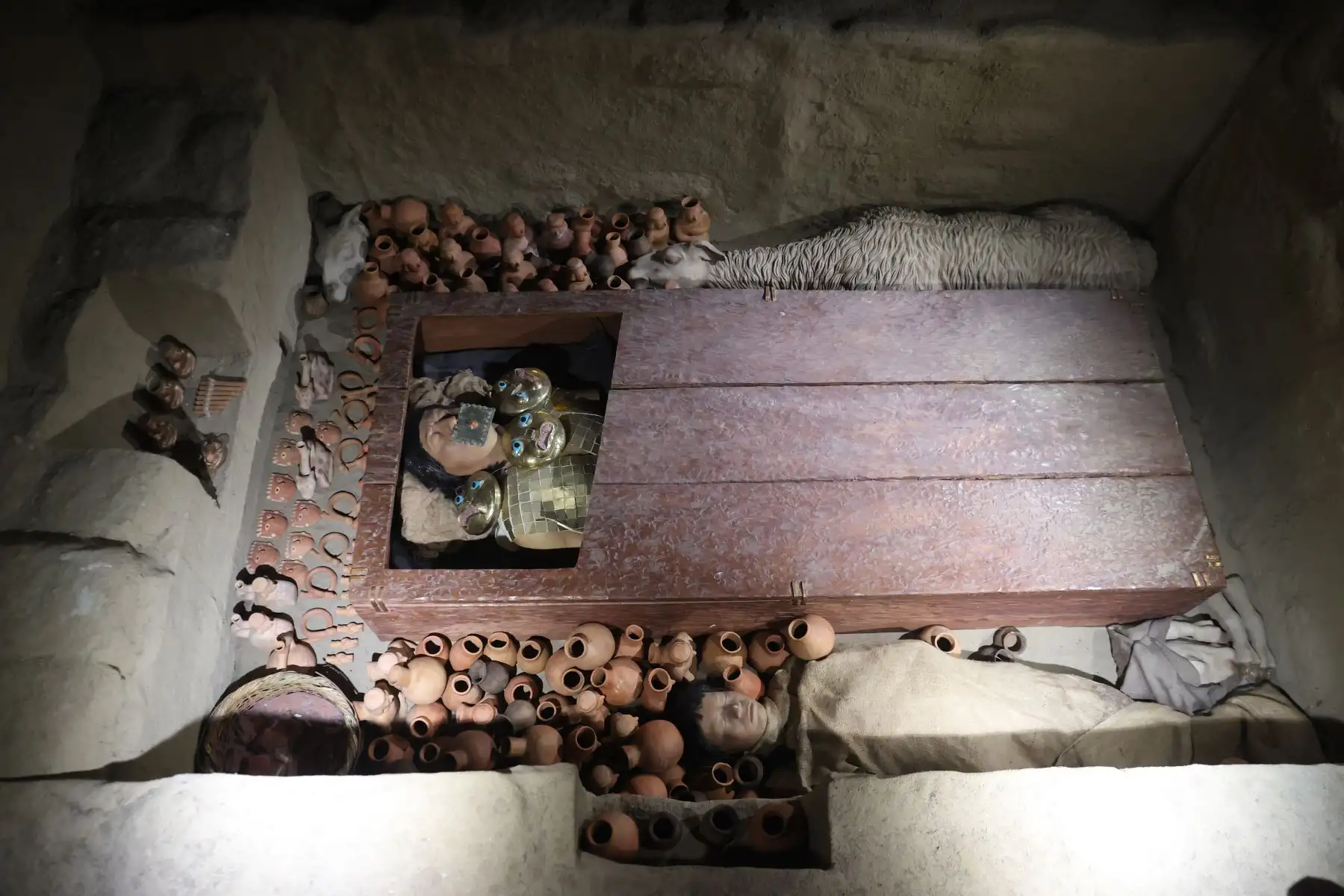 En el recinto principal se presenta a escala natural de la ceremonia del entierro del Sacerdote Guerrero, cuyos restos y ornamentos están contenidos en una urna de vidrio a desnivel, complementándose con vitrinas para otras ofrendas y ornamentas, presenta la osamenta original con algunos ornamentos, emblemas y ofrendas. Foto: ANDINA/Melina Mejía