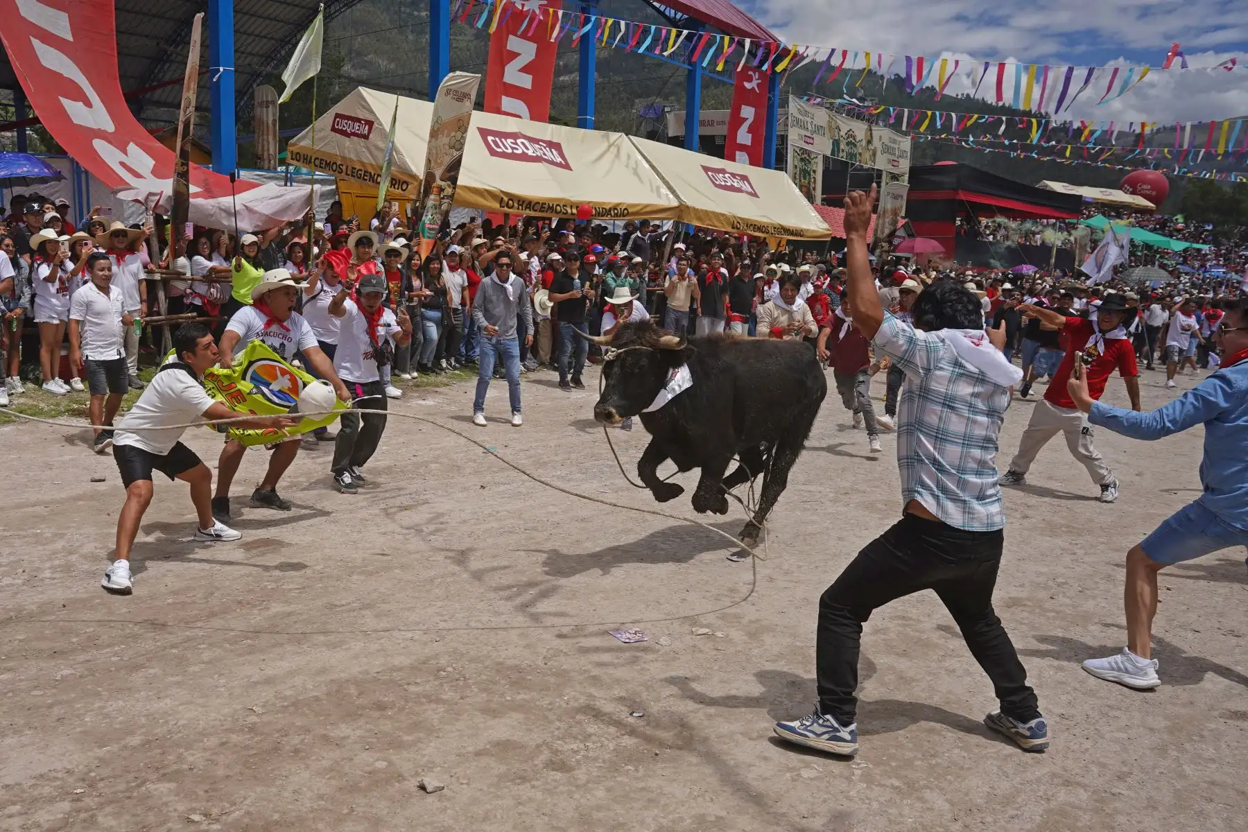 En el tradicional “Jala Toro” se liberaron 20 toros que recorrieron más de un kilómetro, en medio de la participación de miles de visitantes. Foto: ANDINA/Henry Bautista