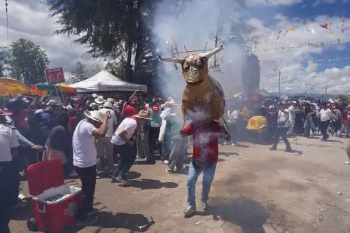 Miles participan en el tradicional “Jala Toro” por Semana Santa en Ayacucho