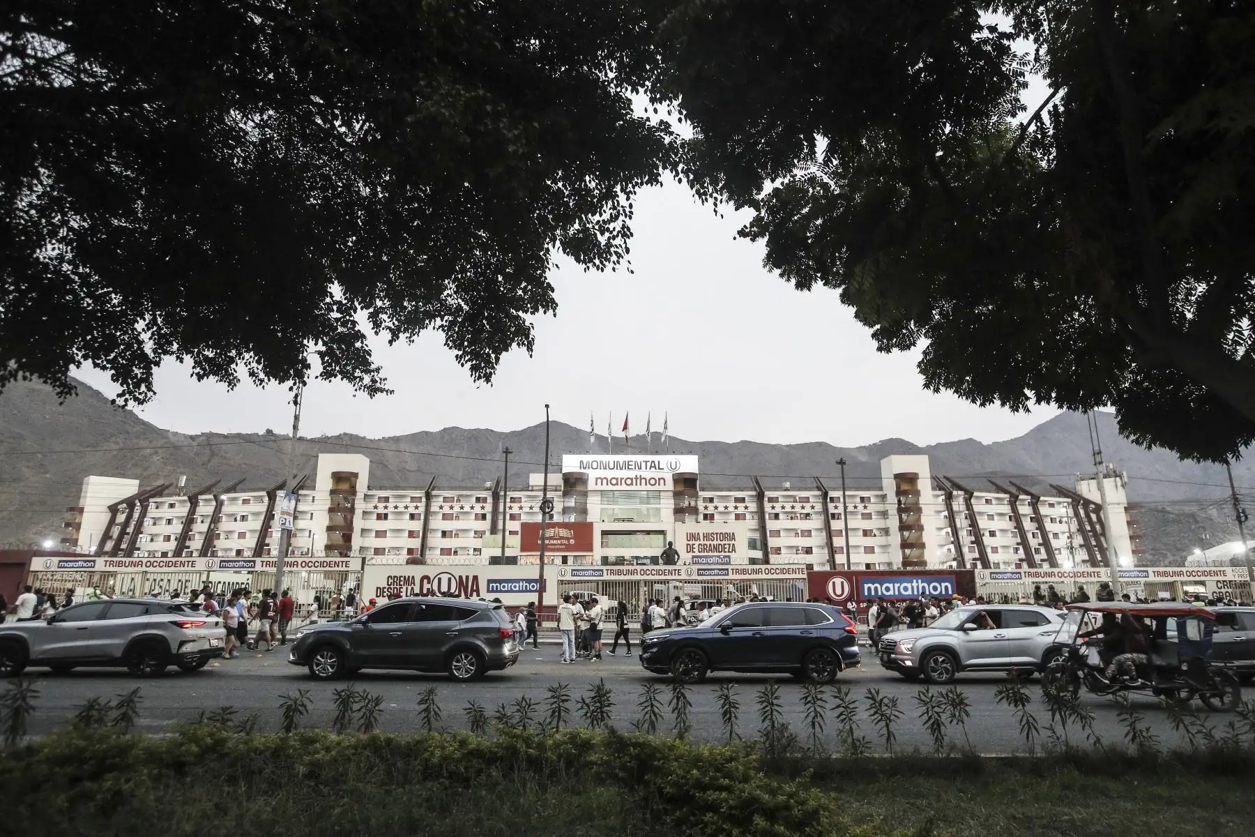Hinchas del equipo crema llegan al Estadio Monumental para presenciar el clásico del fútbol peruano entre Universitario de Deportes y Alianza Lima, en duelo correspondiente a la novena fecha del Torneo Apertura de la Liga 1, en medio de gran expectativa y ambiente festivo. Foto: ANDINA/Eddy Ramos