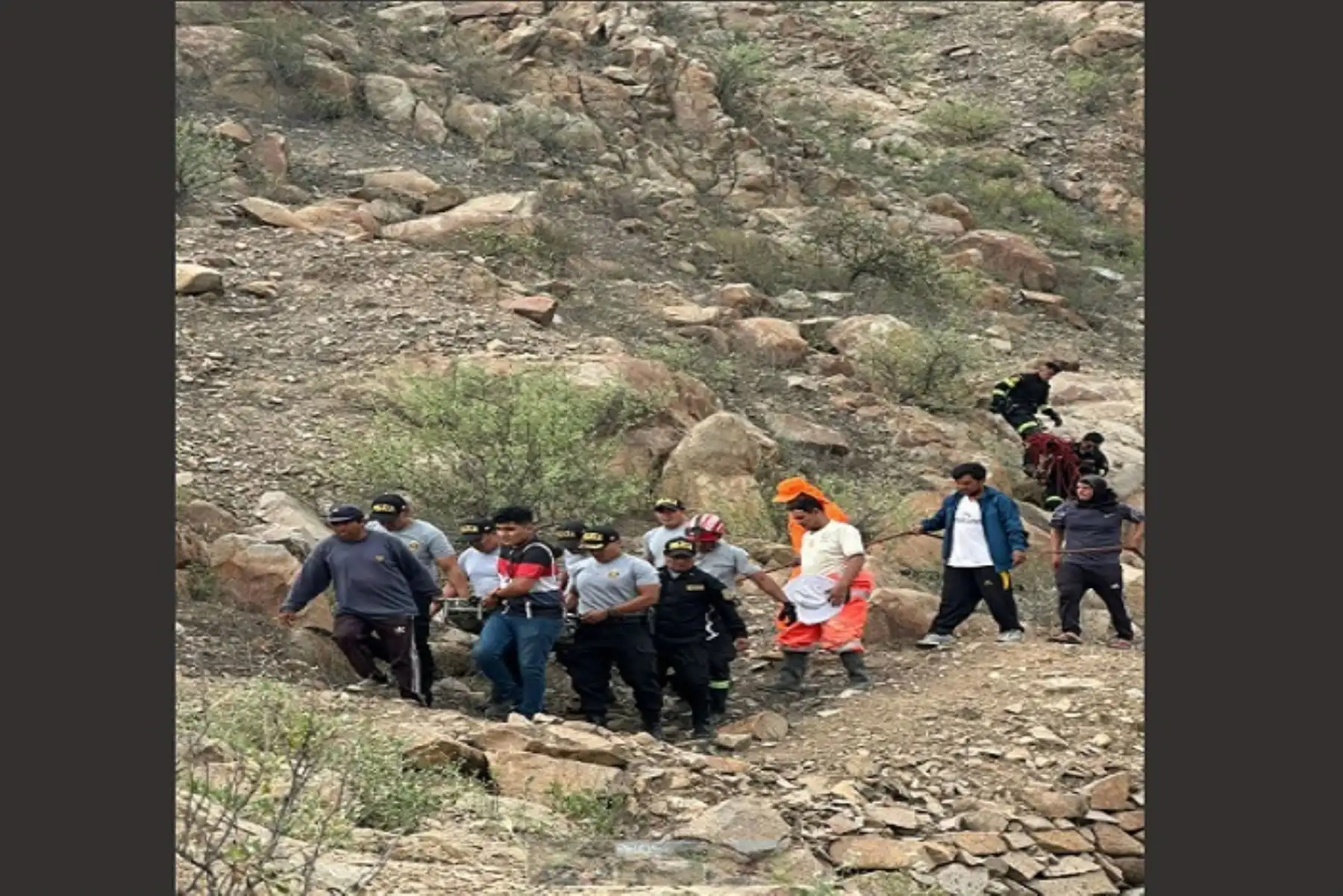 Lambayeque: ataque de abejas a un grupo de personas  deja un muerto y cinco heridos