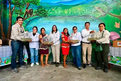 Intervención beneficiará a comunidades de Bajo Naranjillo del distrito de Awajún y de Soritor, y Shamboyacu, en las provincias de Rioja y Moyobamba.