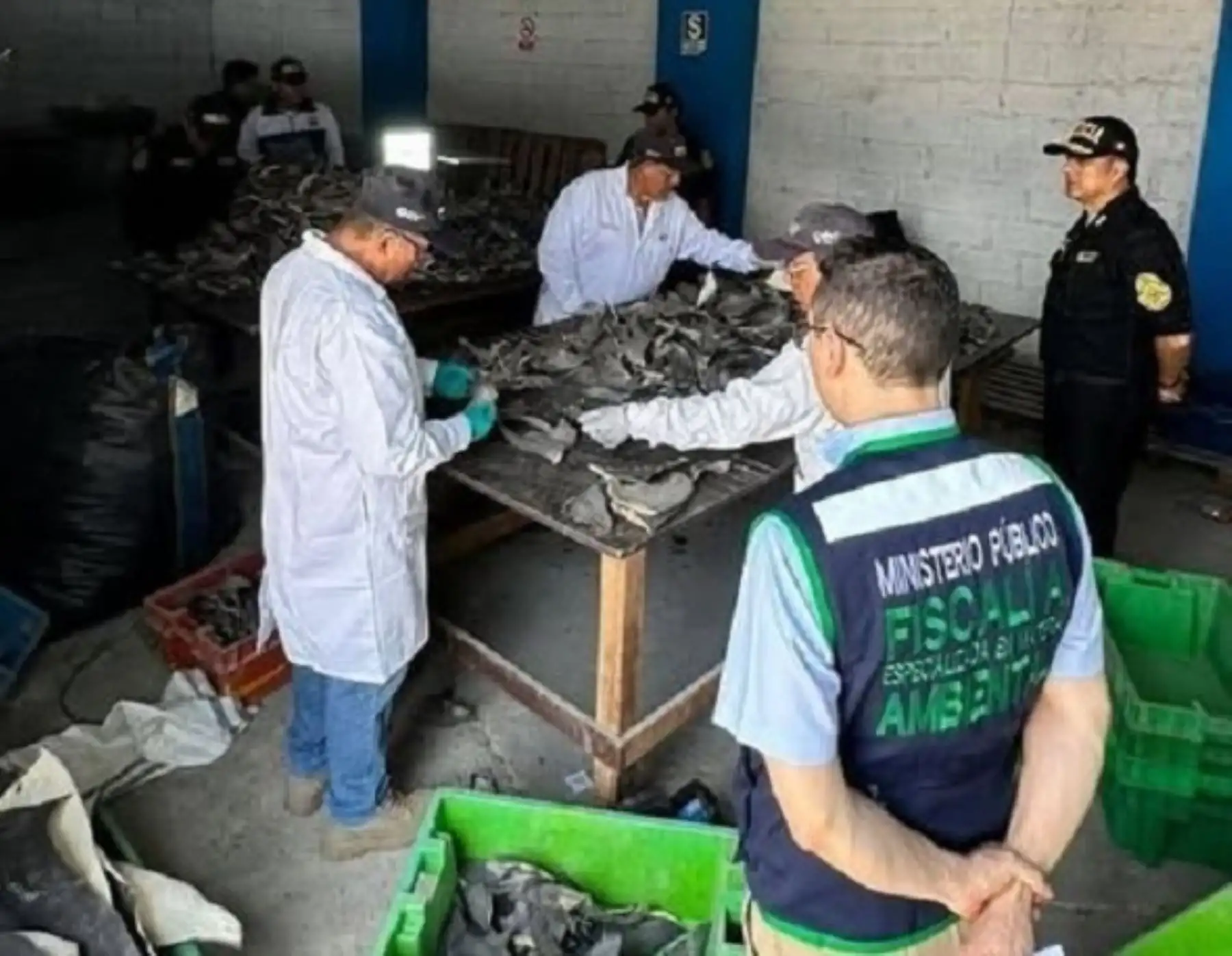Trujillo: clausuran planta clandestina de procesamiento de especies marinas en Salaverry