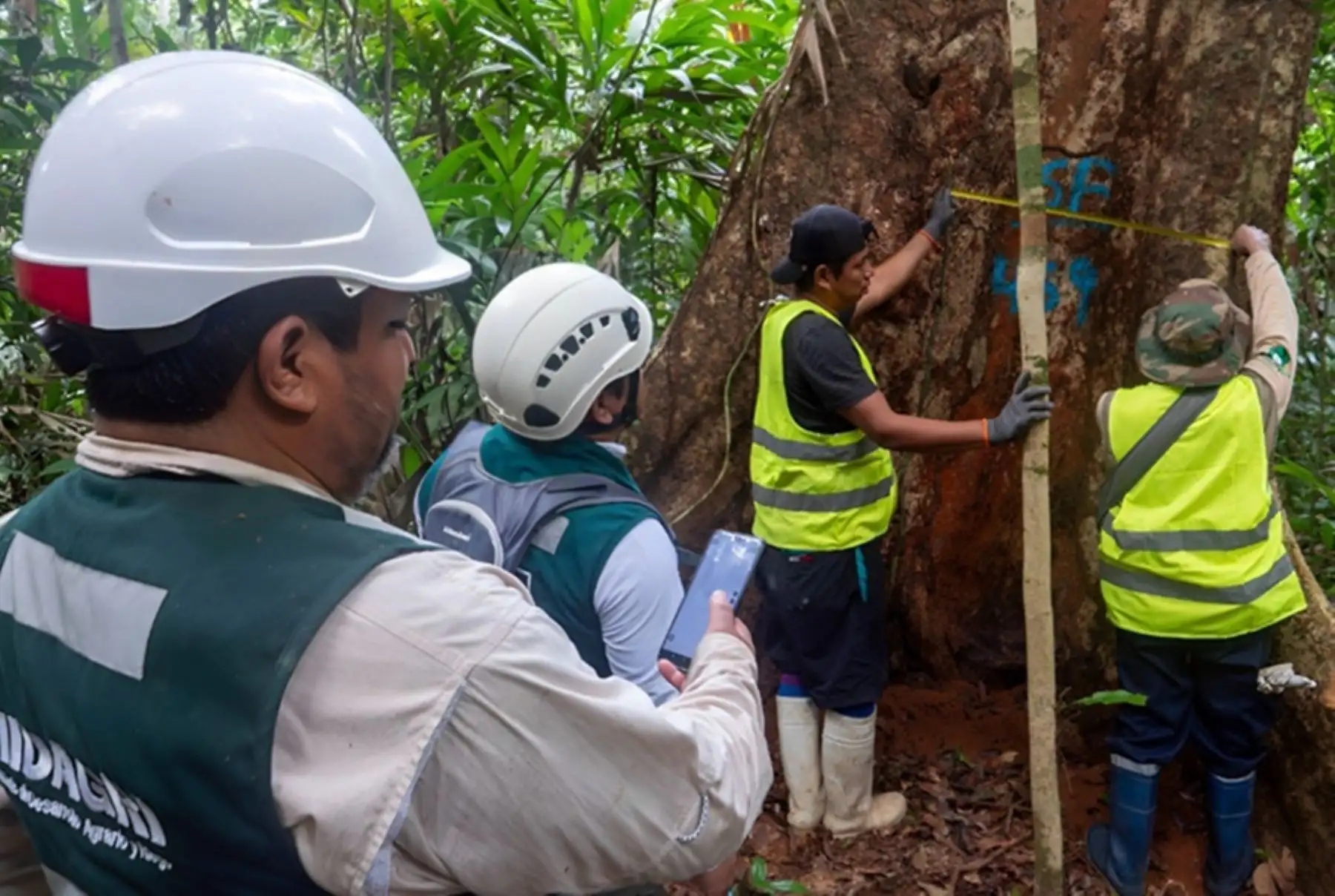 San Martín: Serfor cumple ley para garantizar protección en proyecto de exploración minera