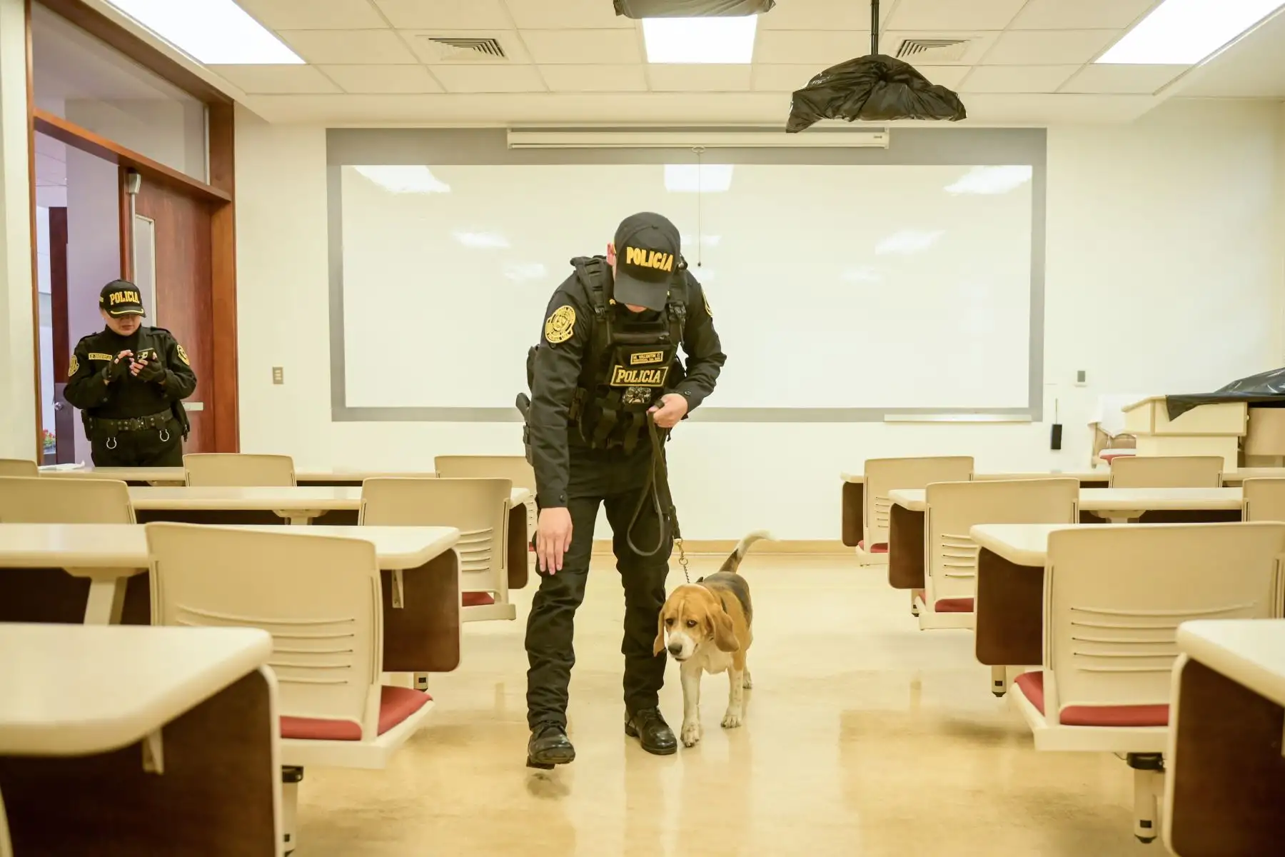 Miembros de la Policía Nacional y las Fuerzas Armadas se encuentran desplazados a lo largo del territorio nacional para brindar seguridad en las elecciones generales 2026. Foto: ANDINA/César Fajardo