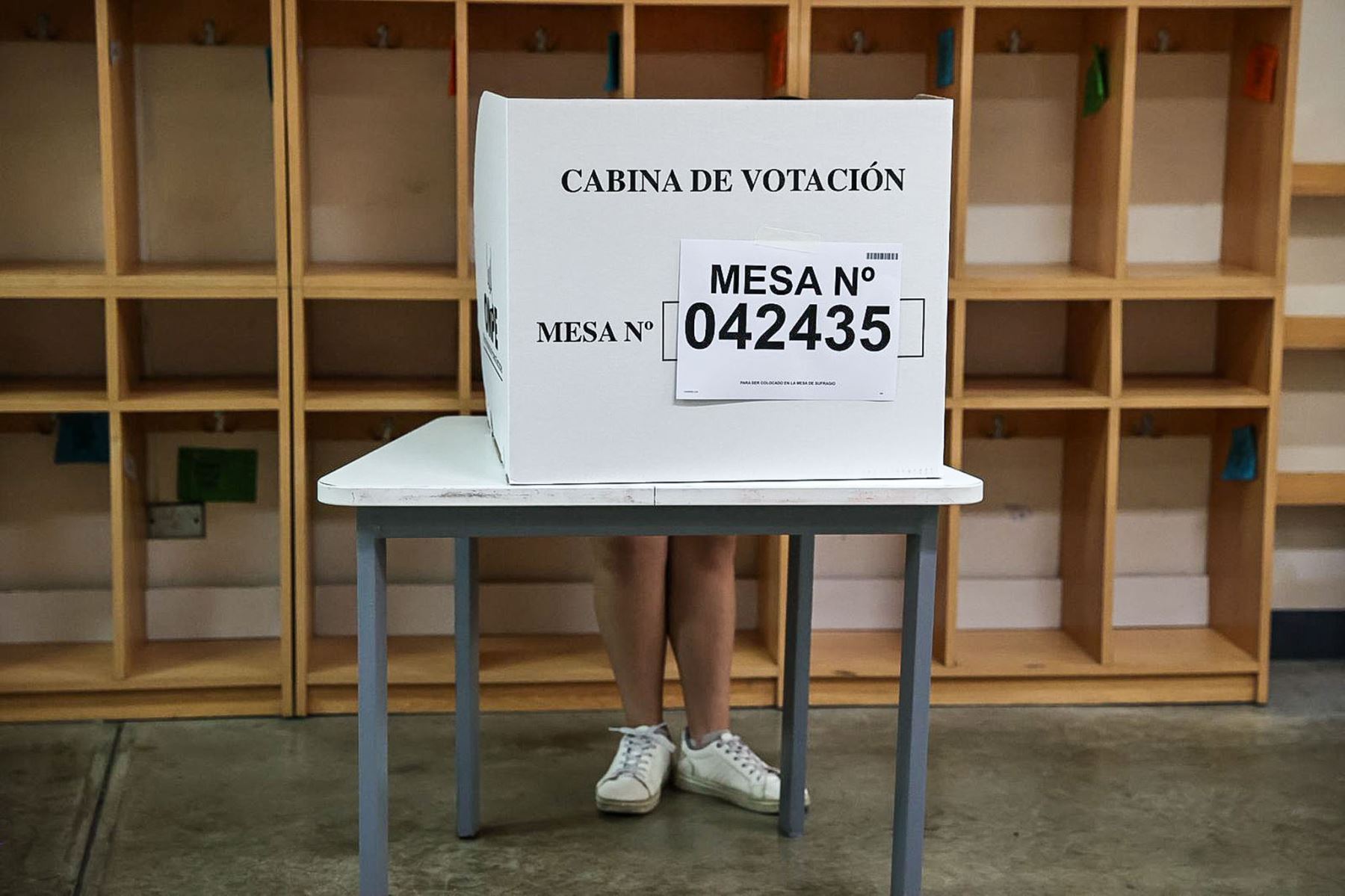 Un total de 27 millones 325 mil 432 votantes en el país y en el extranjero, participan hoy en los comicios generales para elegir al presidente de la República, 60 senadores, 130 diputados y 5 parlamentarios andinos. Foto: ANDINA/Juan Carlos Guzmán