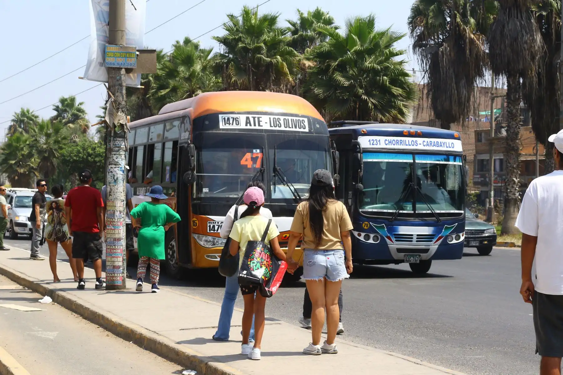 El transporte público en Lima Metropolitana y el Callao opera con el mismo esquema que un día laborable para facilitar el traslado de los ciudadanos a los centros de votación durante las elecciones generales 2026. Foto: ANDINA/Luis Jimenez