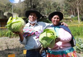 Un total de 469,645 hogares de zonas rurales de 23 regiones del país se benefician con el fortalecimiento de capacidades y el uso de nuevas tecnología que impulsa Foncodes a través del proyecto Haku Wiñay/Noa Jayatai. ANDINA/Difusión
