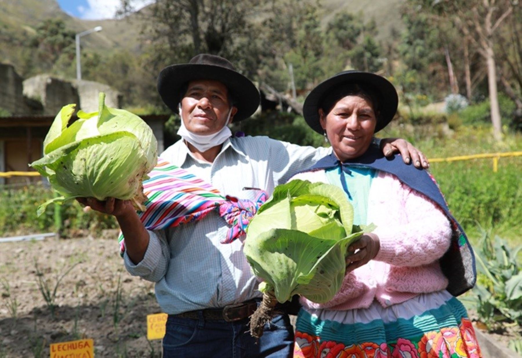 Fortalecimiento de capacidades mejora ingresos de más de 469 mil hogares de zonas rurales