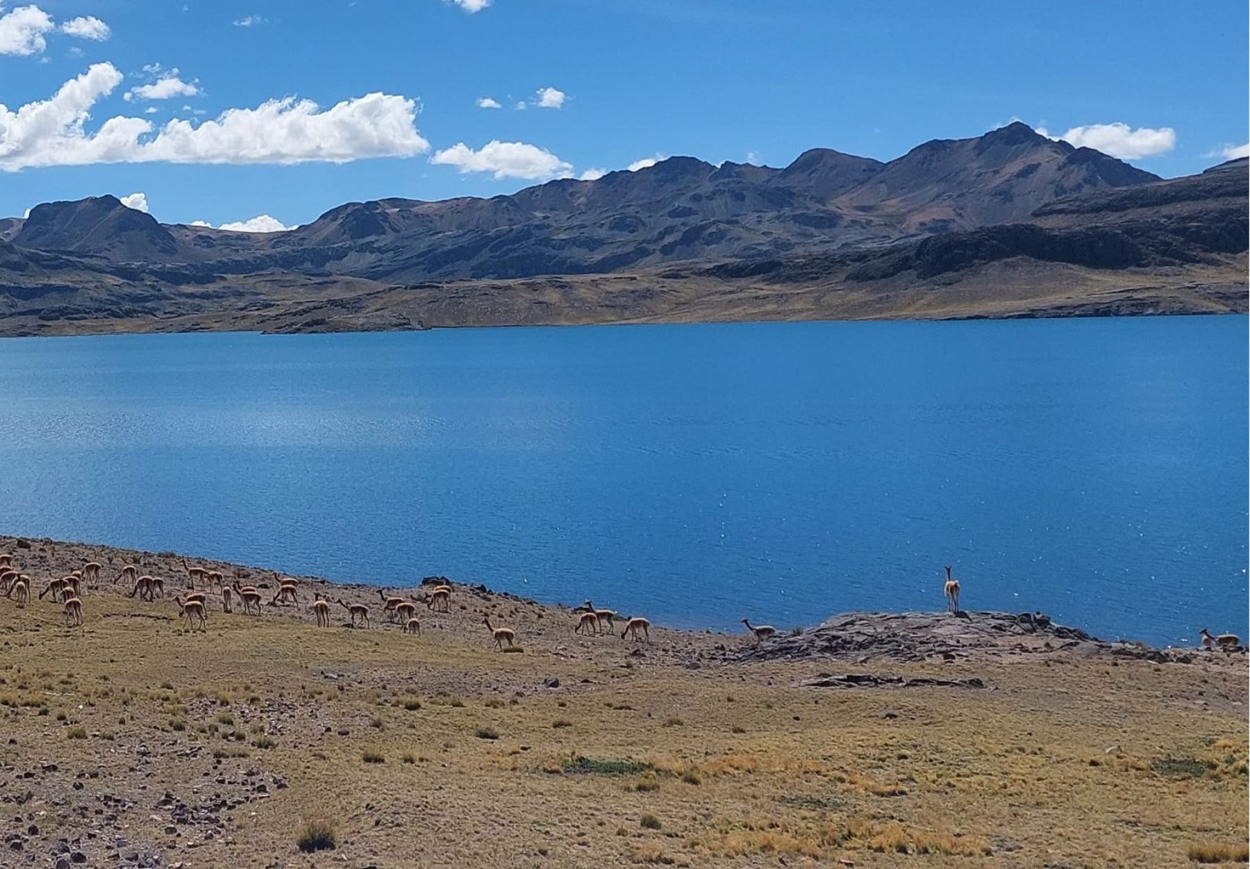 Huancavelica lanza plan para revitalizar laguna Orcoccocha y turismo