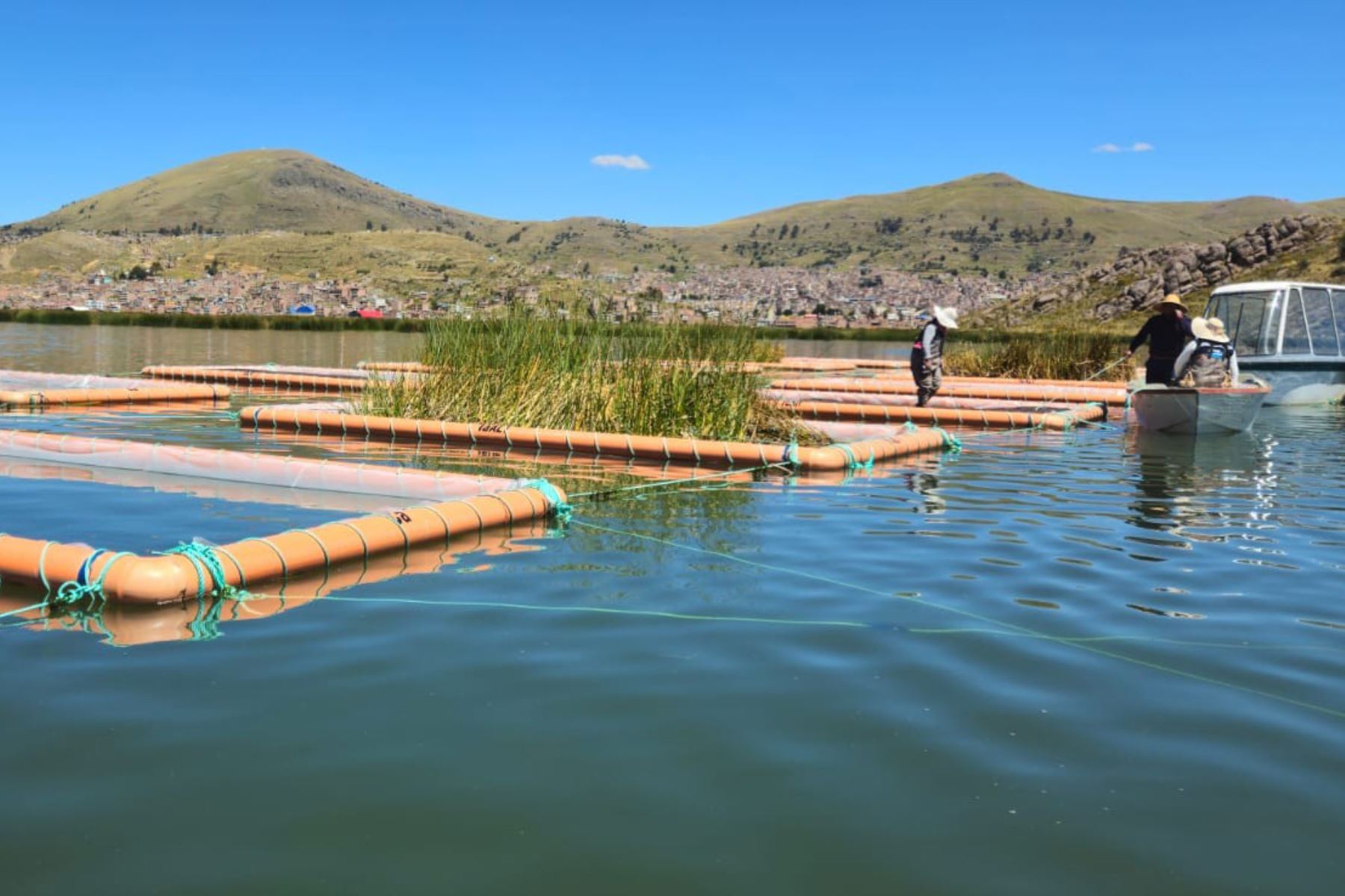 Iniciativa en Puno mejora calidad del agua del Lago Titicaca