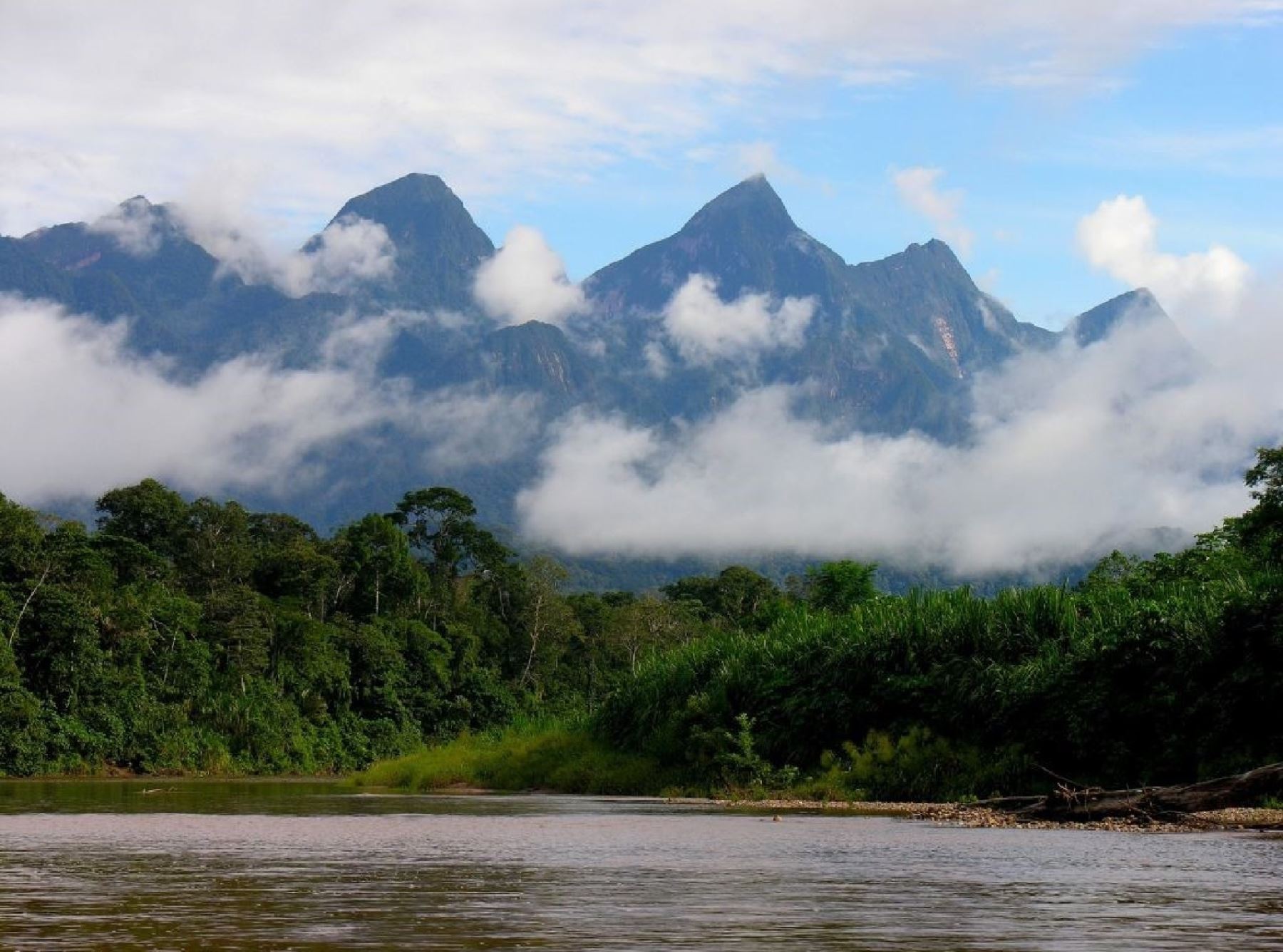 Así celebrará San Martín los 25 años de creación del Parque Nacional Cordillera Azul