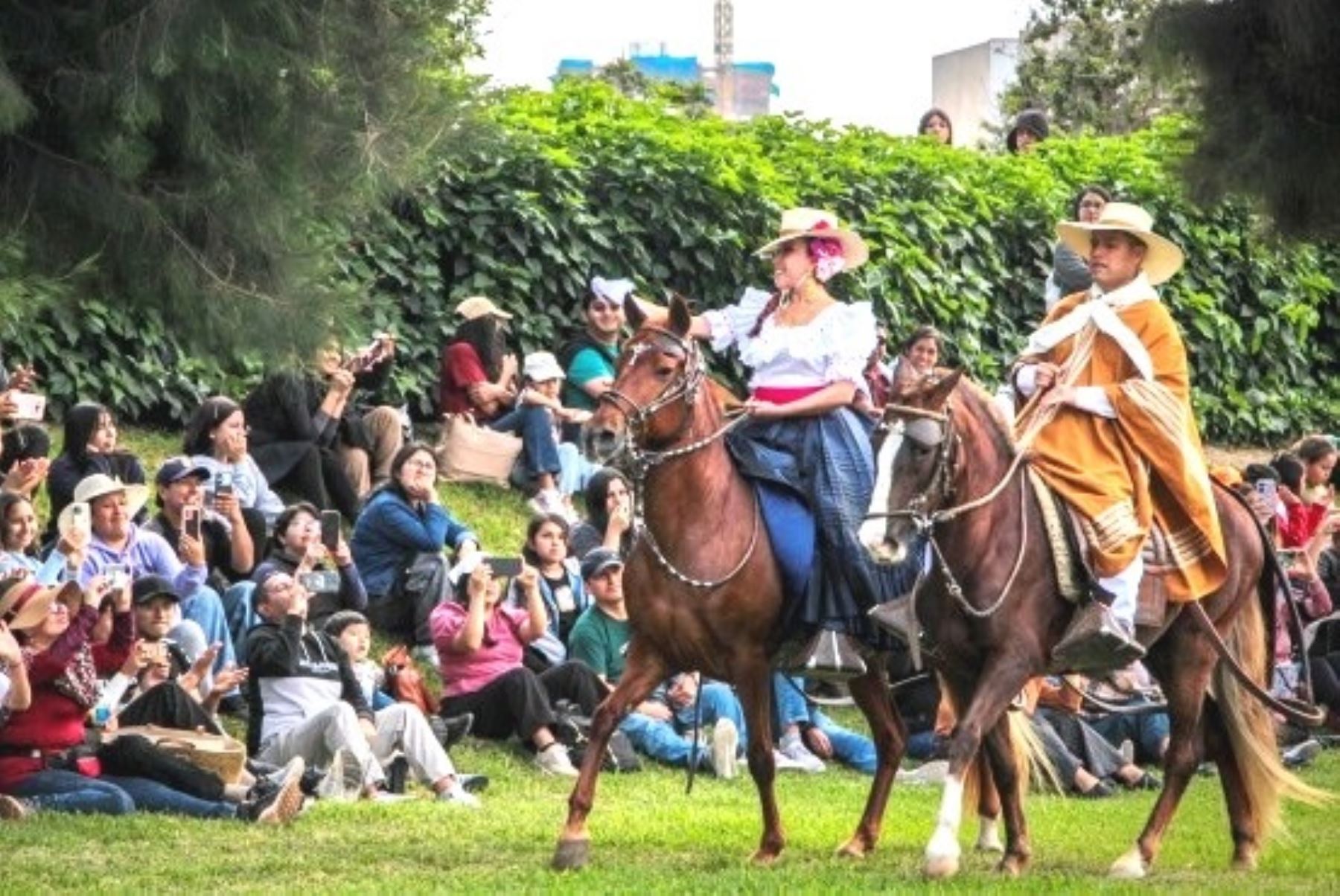 Parque de las Leyendas celebra hoy domingo el Día del Caballo Peruano de Paso