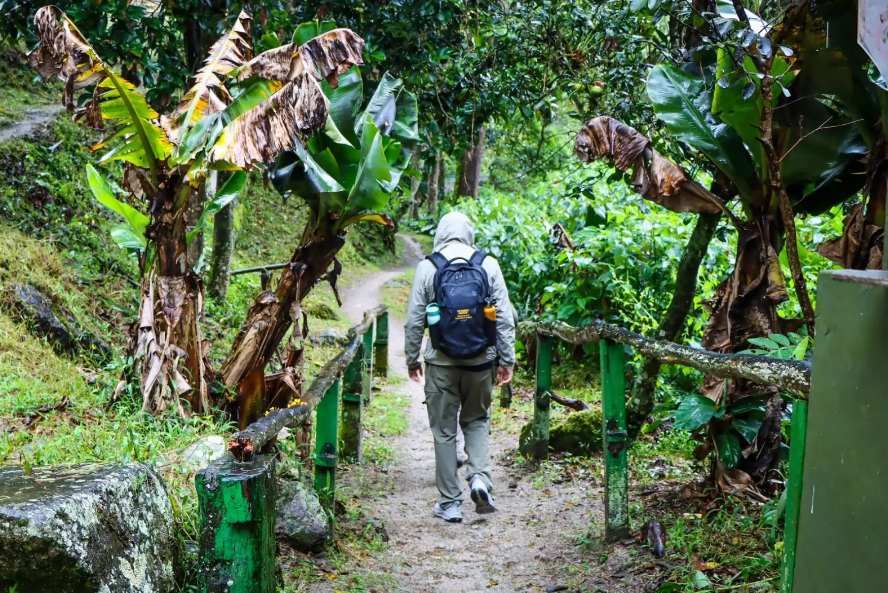 Peru: Machu Picchu Inca Trail to remain closed to tourists through Aug 22