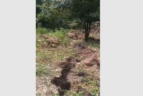 Los daños en estos cultivos significan grandes pérdidas para los pequeños agricultores.