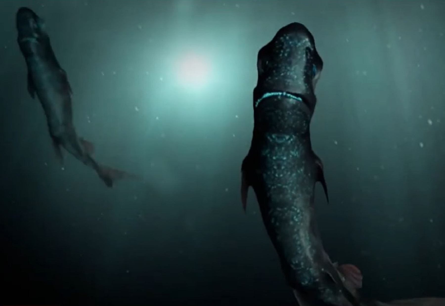 ¿Qué rasgos hacen único al tiburón linterna que habita en aguas profundas del mar peruano?