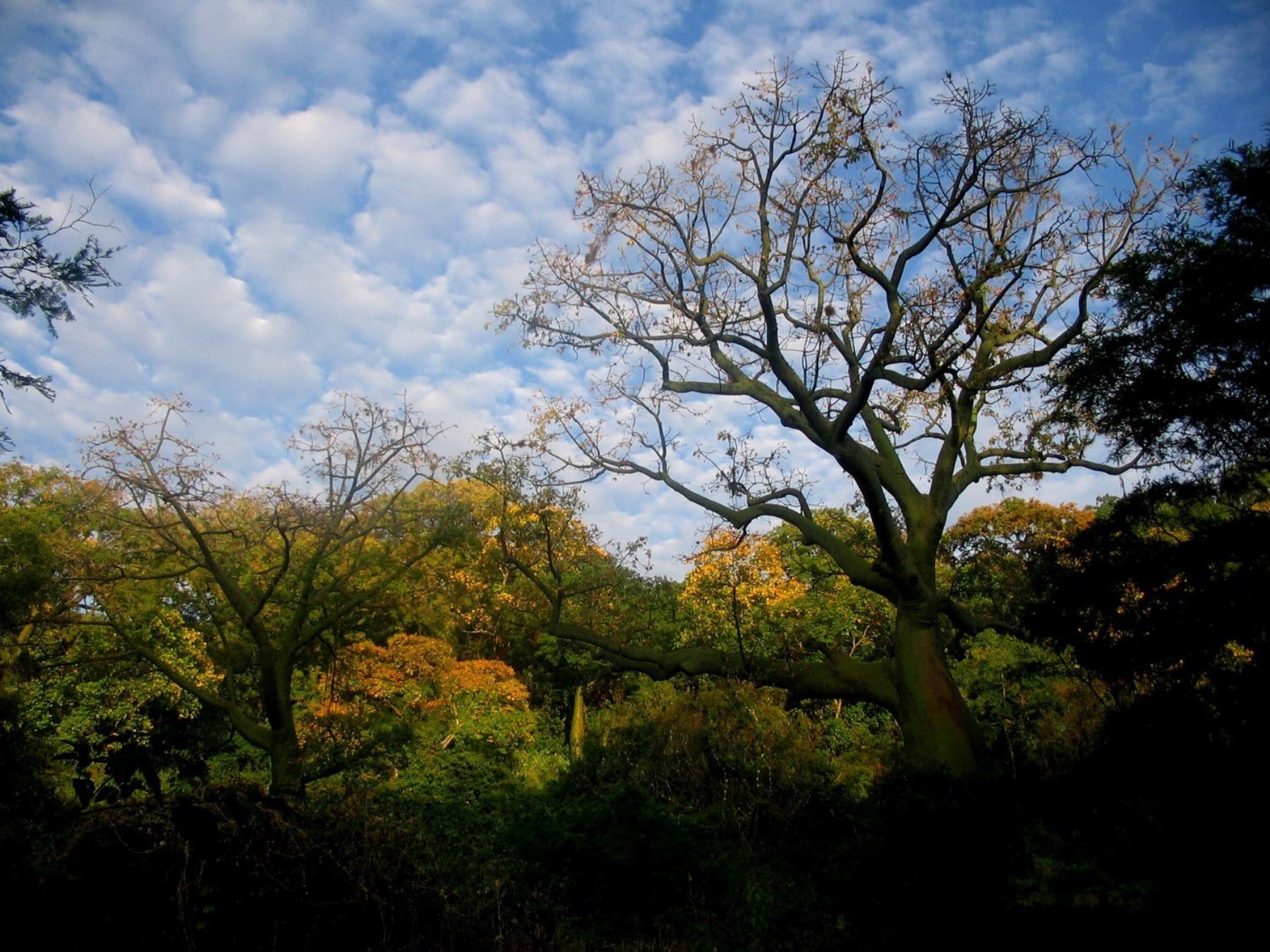 Con herramientas técnicas Serfor fortalece gestión y conservación de ecosistemas frágiles