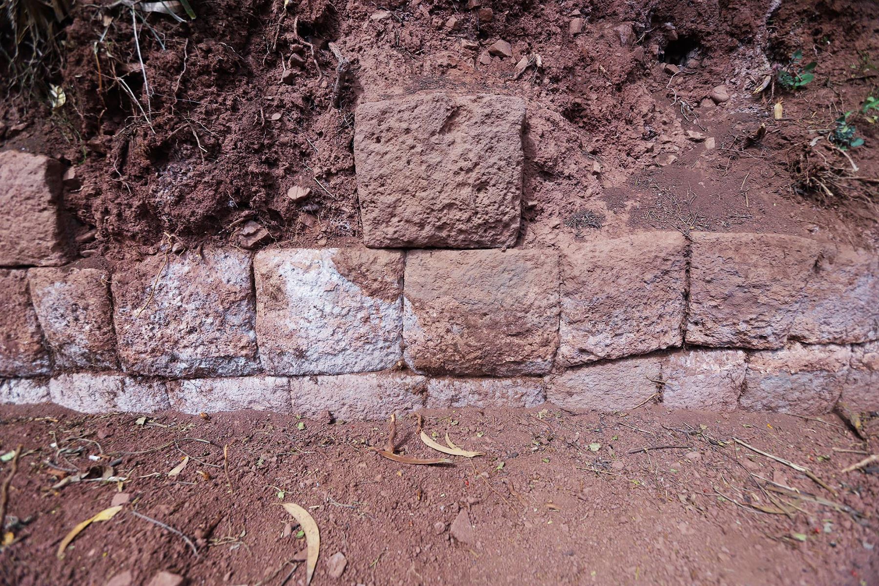 El pequeño muro inca recientemente hallado en el distrito de San Jerónimo, al borde de la vía Cusco-Arequipa, habría formado parte de un camino que ingresaba al gran Qhapaq Ñan, Red de Caminos Inca, que salía de la ciudad del Cusco al Qollasuyo.
Foto: ANDINA/Percy Hurtado Santillán