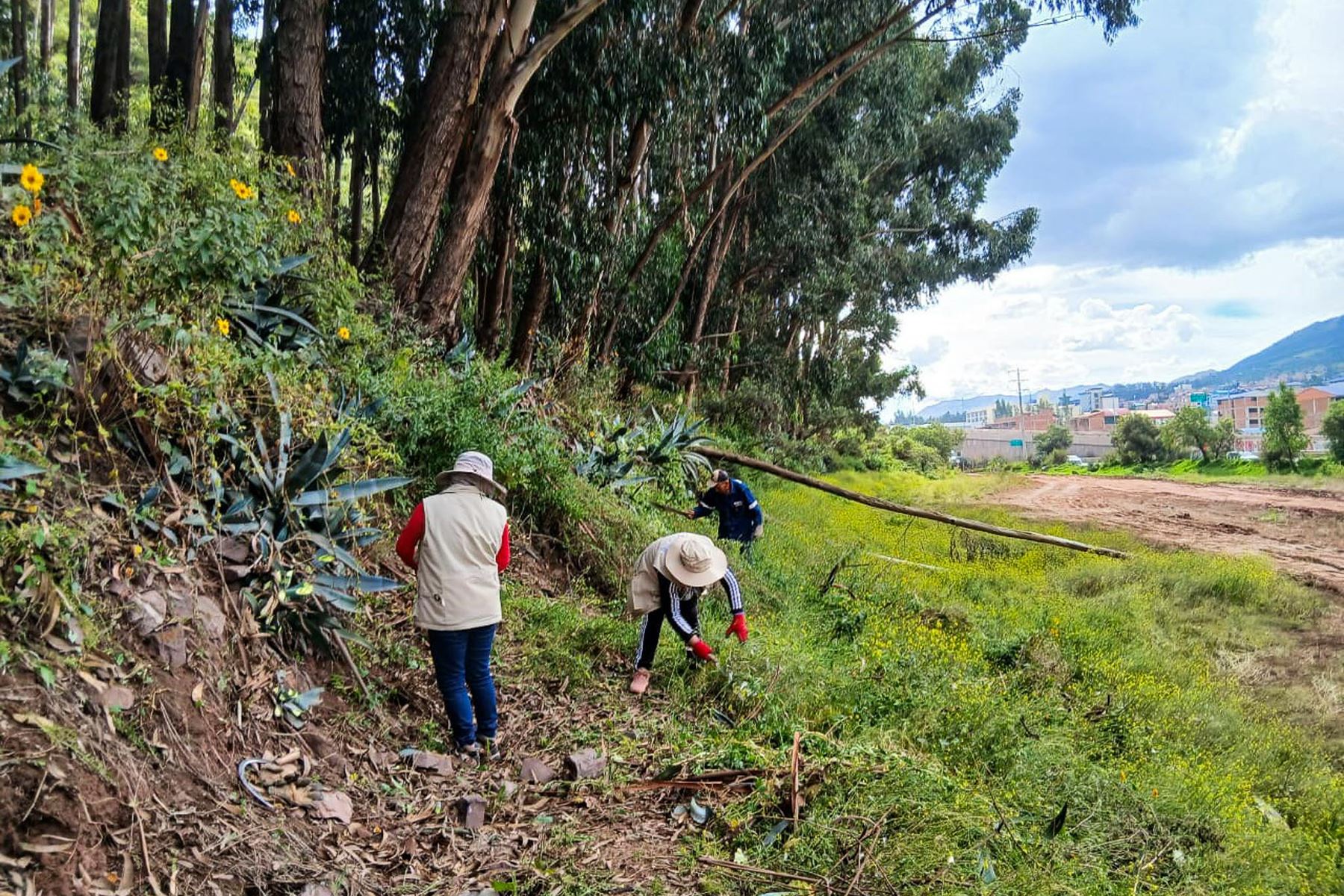 De acuerdo a investigaciones realizadas, Silkinchani fue un espacio administrativo de control para personas que se desplazaban precisamente al altiplano. Aquí hay una cancha y también colcas (por su estratégica ubicación geográfica), donde se almacenaban productos como el maíz.

Foto: ANDINA/Percy Hurtado Santillán