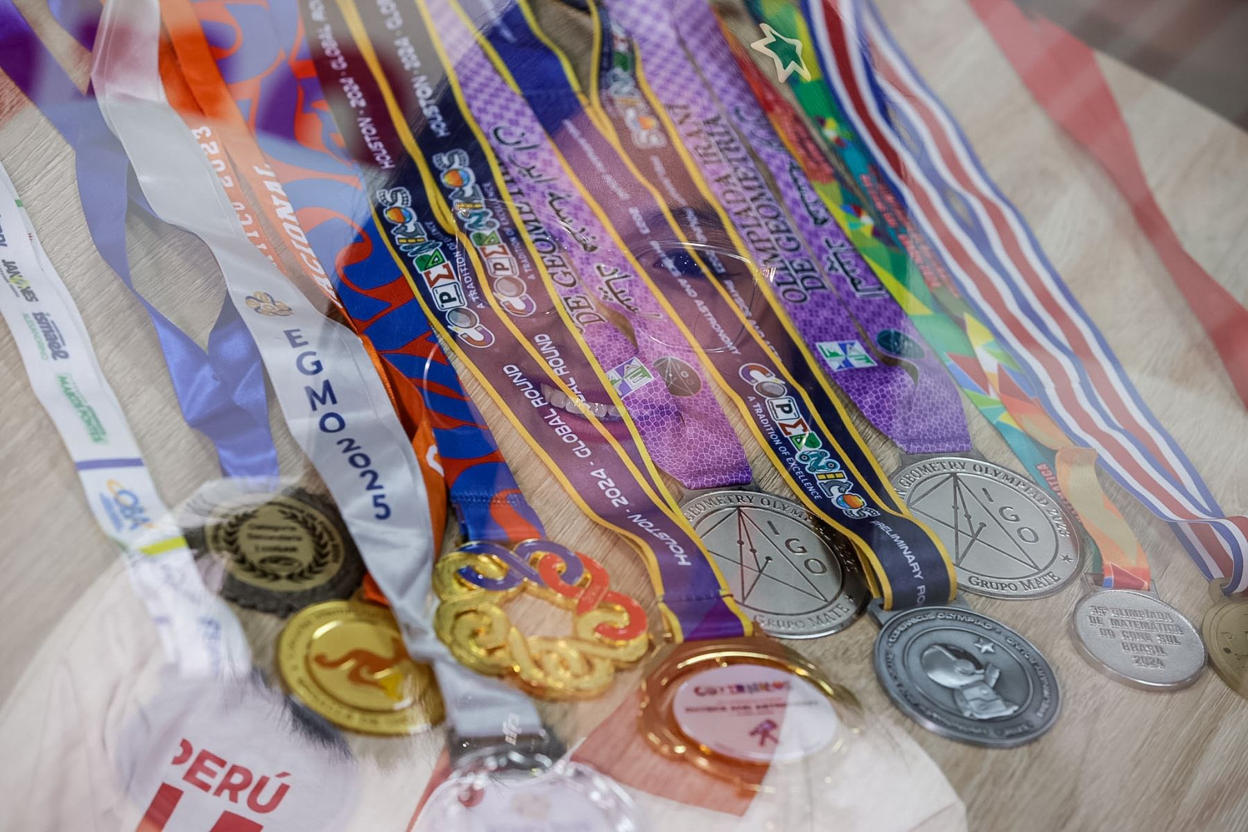 Estos reconocimientos evidenciaron el nivel alcanzado por la estudiante, quien se ha posicionado entre las jóvenes promesas más importantes del país en el ámbito científico. Foto: ANDINA/Luis Iparraguirre.