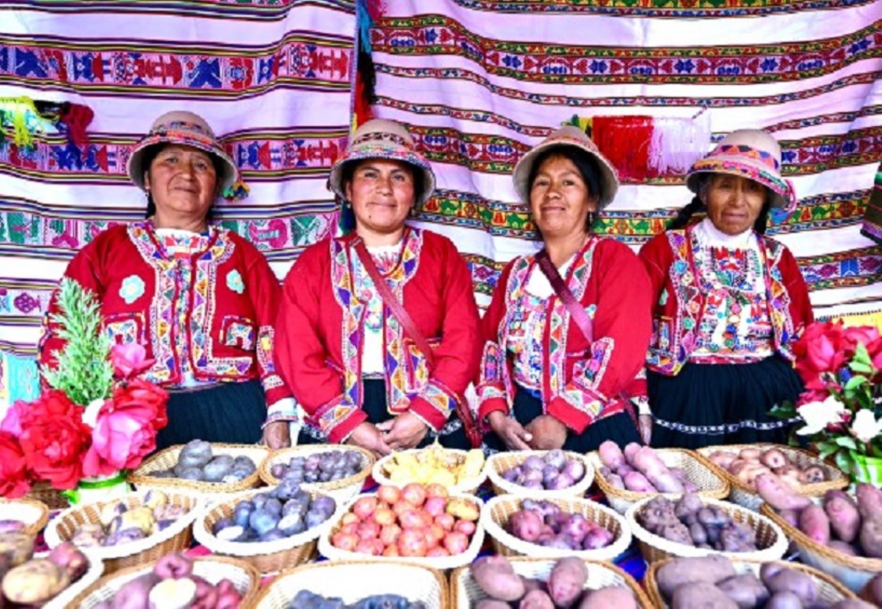 Cusco: nuevo proyecto busca revalorar cultivos nativos y fortalecer seguridad alimentaria