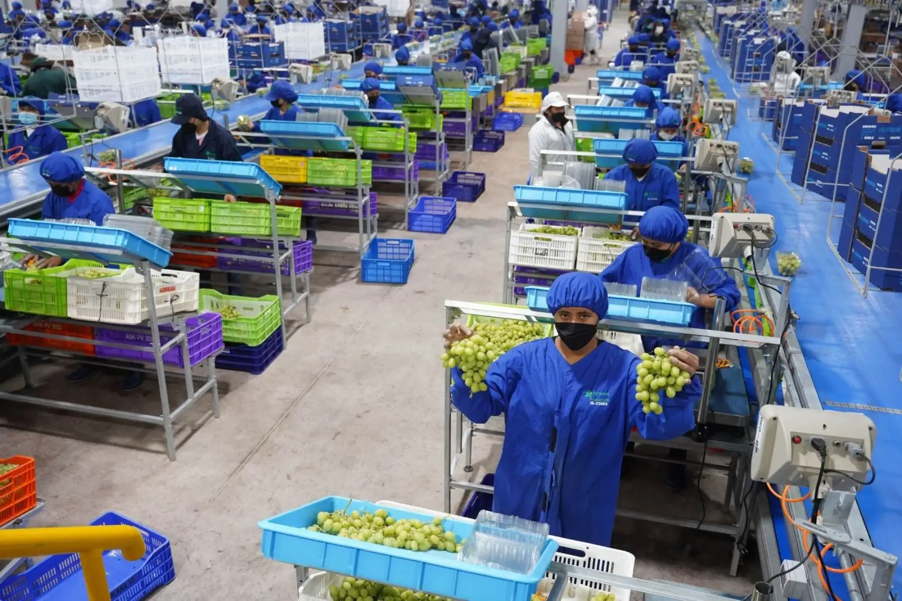 Perú y Finlandia fortalecen relación bilateral y exploran oportunidades de cooperación