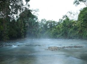 Una investigación científica del IIAP identificó más de 70 tipos de especies de peces, anfibios, reptiles y diversas familias de insectos en el río Hirviente, ubicado en Huánuco.