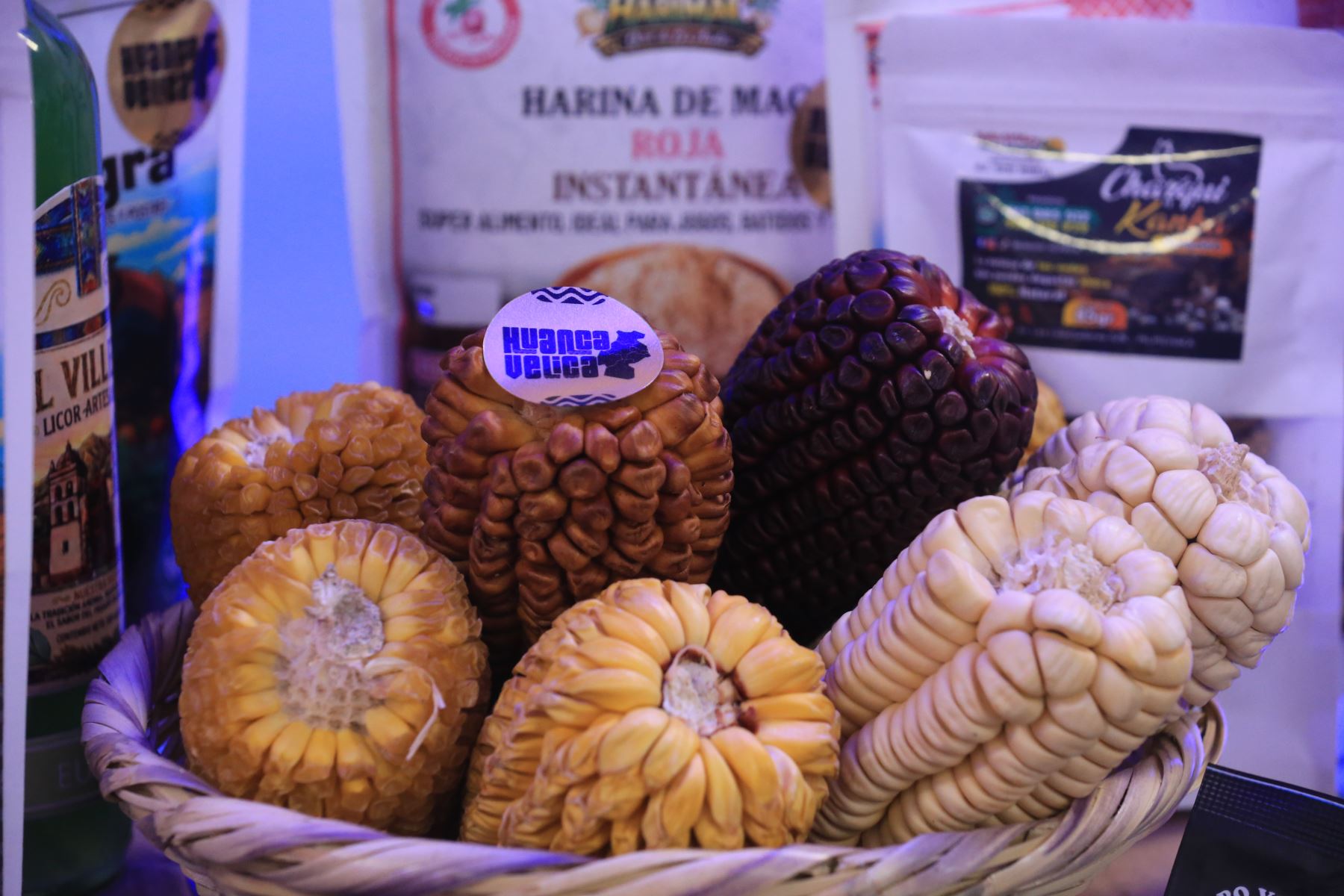 ANDINA/Héctor Vinces