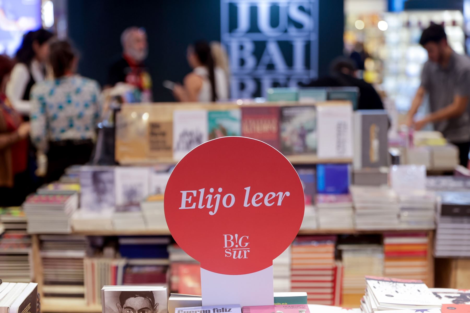 El sector infantil de la feria presenta una variada selección de libros ilustrados y propuestas editoriales dirigidas a nuevos lectores, en espacios diseñados para el público familiar. Foto: ANDINA/Luis Iparraguirre.