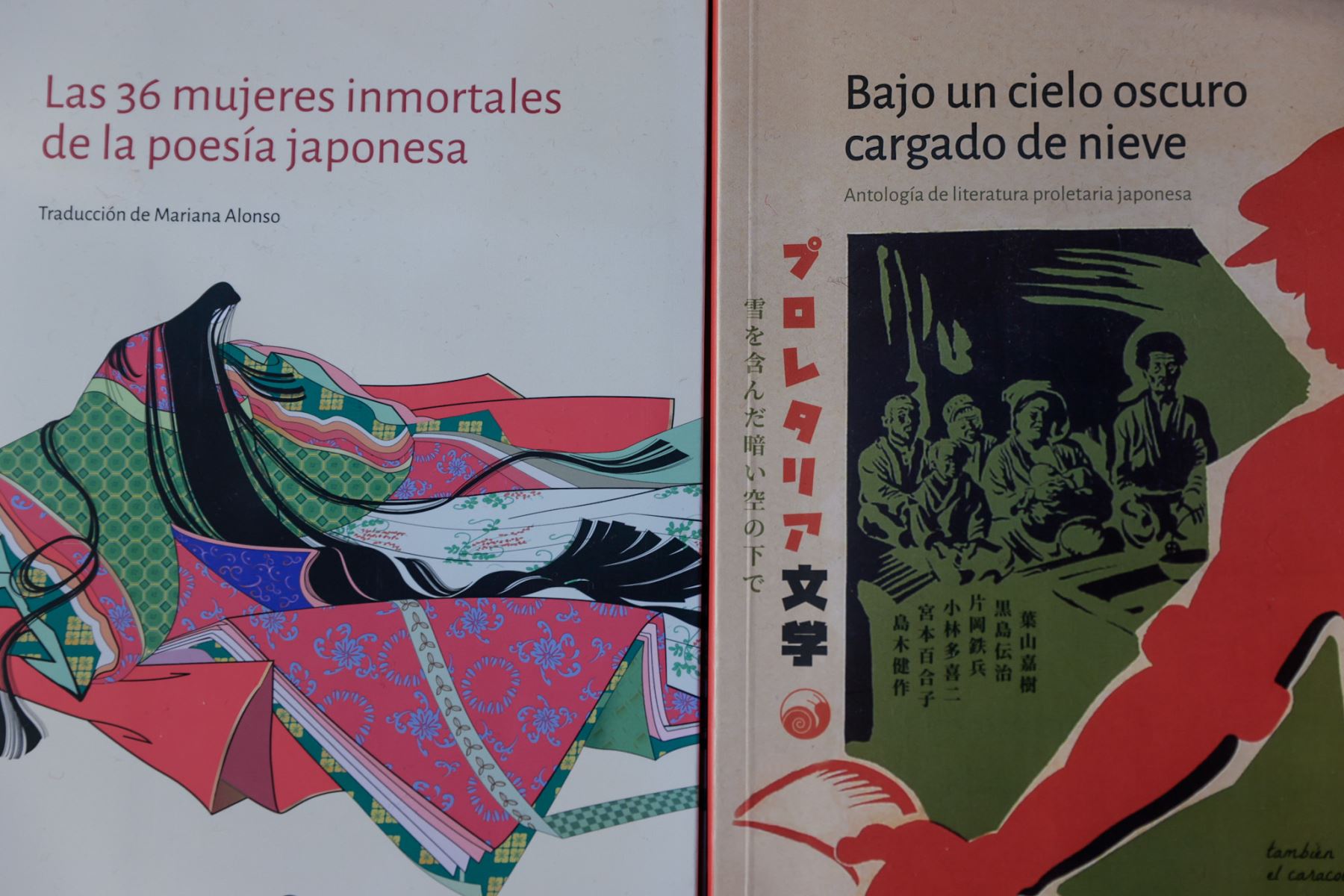 Libros de distintas temáticas y procedencias se exhiben en los espacios comerciales de la feria, donde conviven propuestas editoriales locales e internacionales. Foto: ANDINA/Luis Iparraguirre.