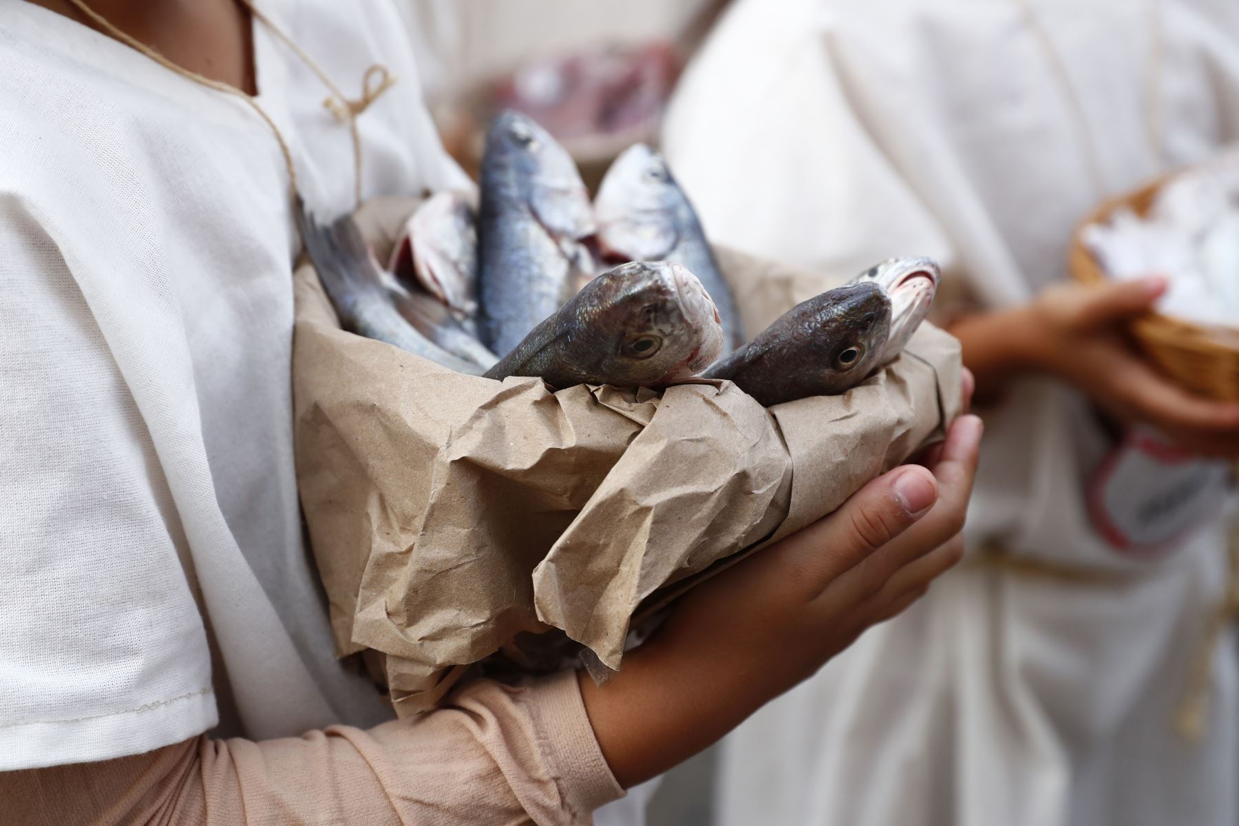 Desde la plaza Grau de Supe Puerto, en Barranca, decenas de estudiantes desfilaron y participaron en el VII Concurso Escolar de Pasacalle "Revalorando nuestro pasado milenario", en el marco de las celebraciones por cumplirse los 21 años de investigaciones del sitio arqueológico Áspero, asociado a la civilización Caral. Foto: ANDINA/Daniel Bracamonte