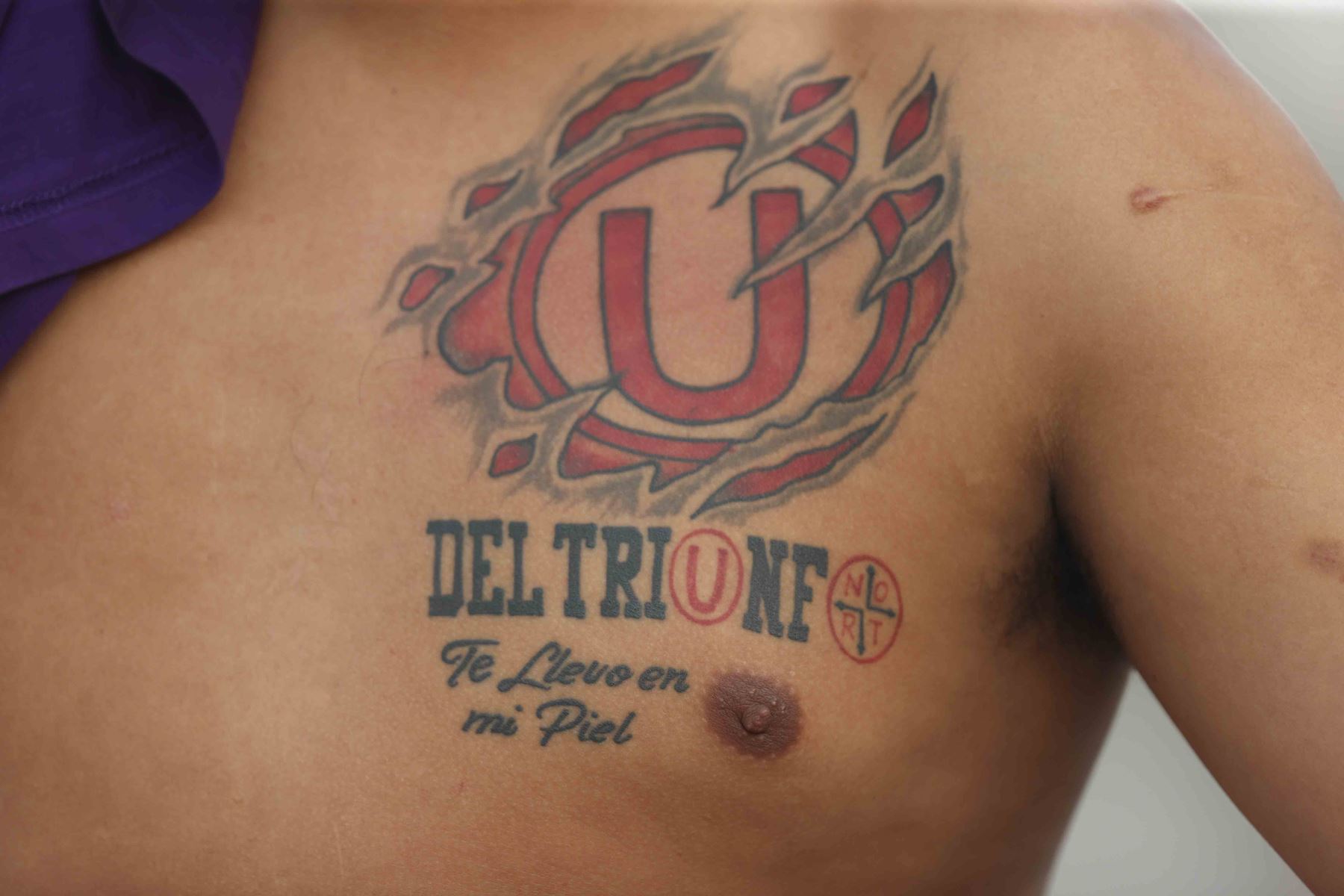 Universitario de Deportes se enfrenta a Alianza Atlético de Sullana en el Estadio Monumental y los hinchas se preparan para alentar al equipo crema. Foto: ANDINA/Jhonel Rodríguez Robles