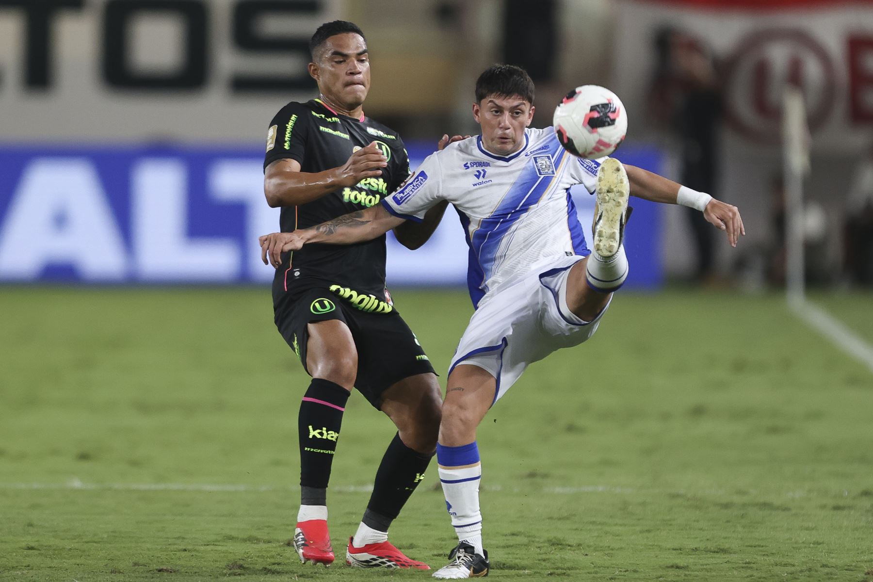 Universitario de Deportes se enfrenta a Alianza Atlético de Sullana por el Torneo Apertura de la Liga 1 en el Estadio Monumental, en un duelo clave donde los cremas buscarán hacerse fuertes en casa y sumar puntos importantes en la tabla. Por su parte, el conjunto norteño intentará dar la sorpresa y llevarse un resultado positivo en una plaza siempre complicada. Foto: ANDINA/Jhonel Rodríguez Robles
